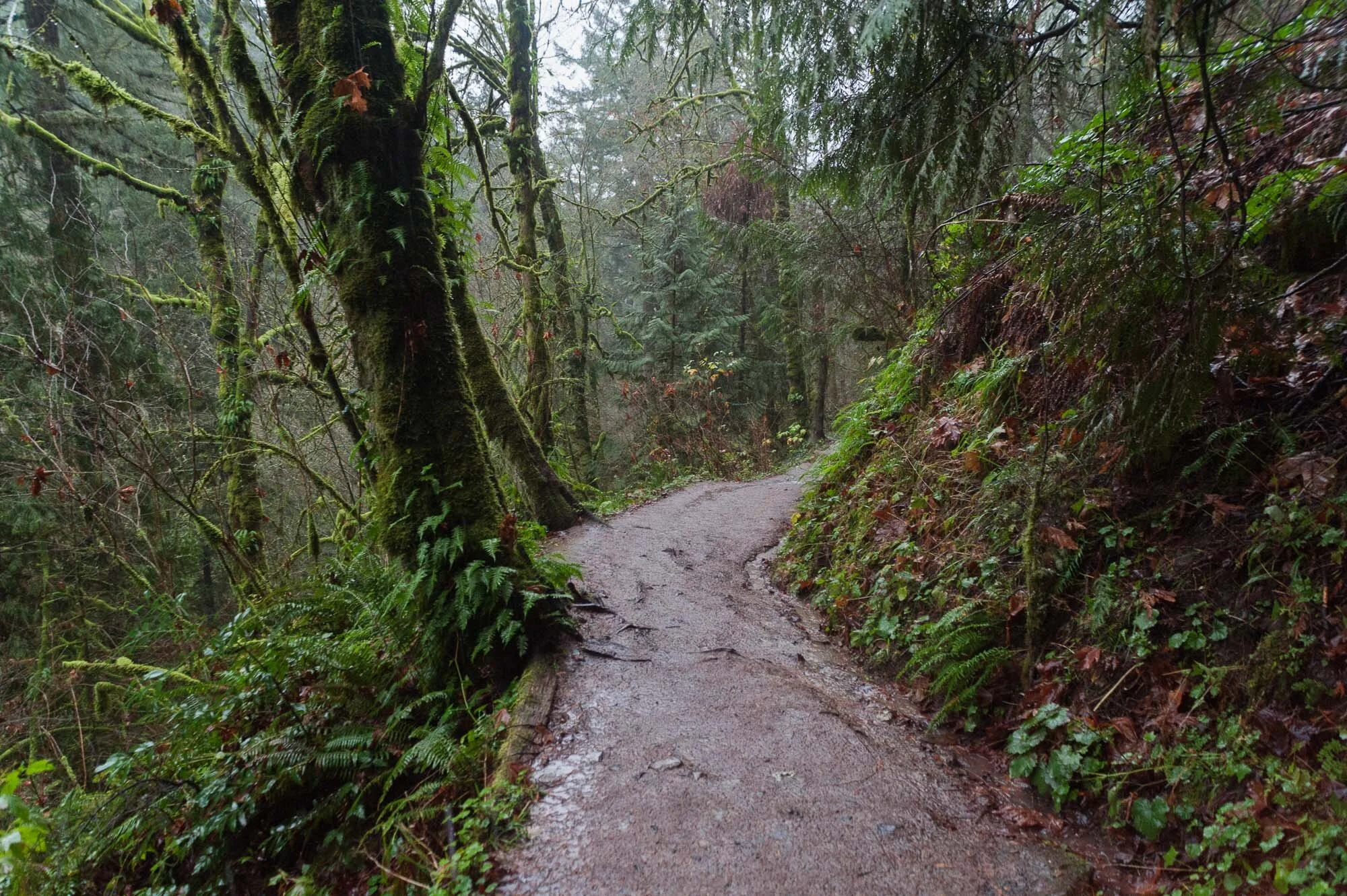 Nature-5.jpg