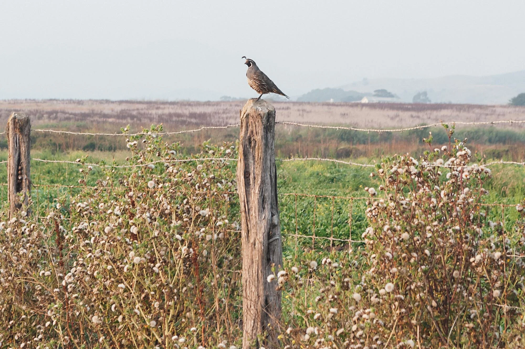 Nature-8.jpg