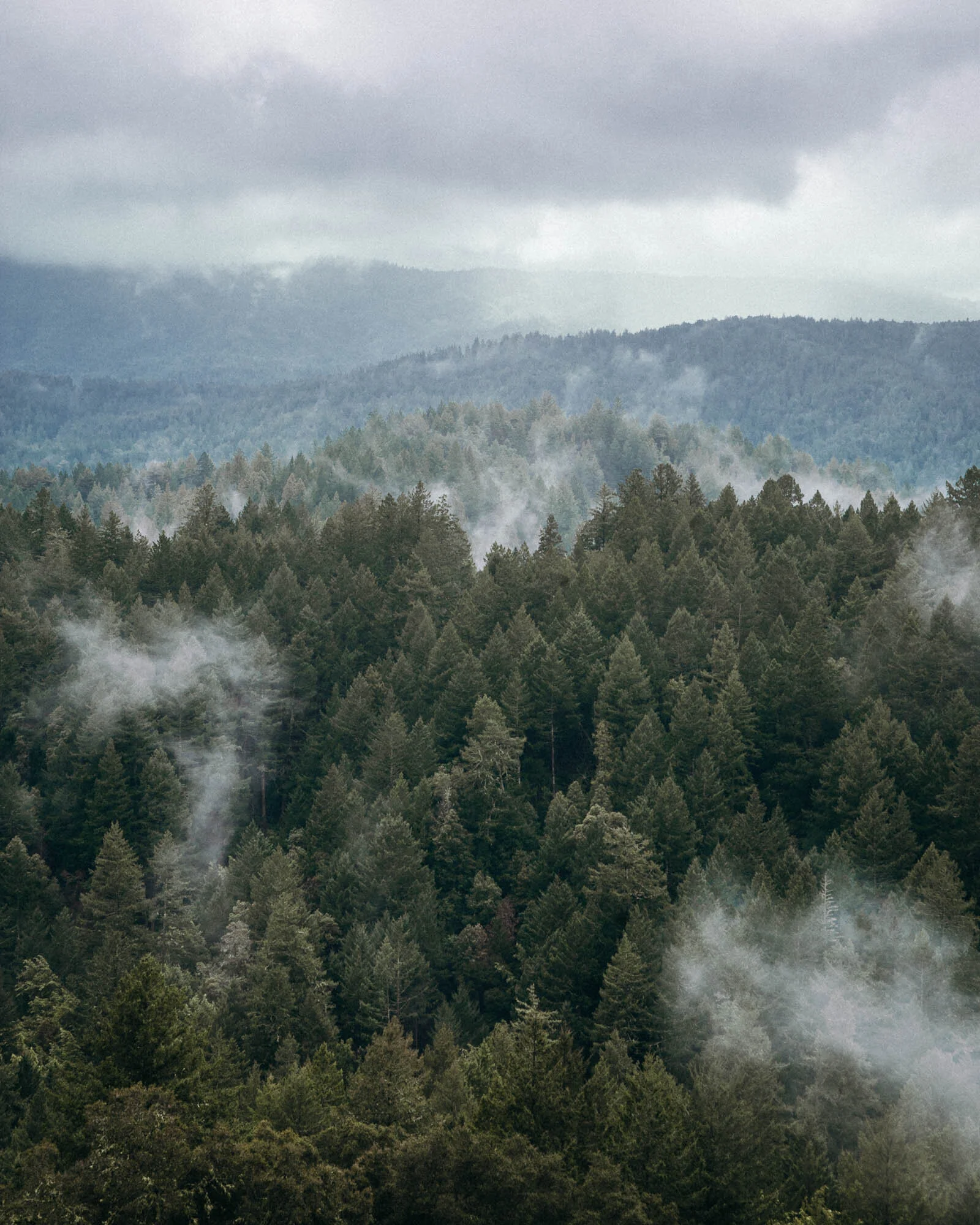 Nature-12.jpg