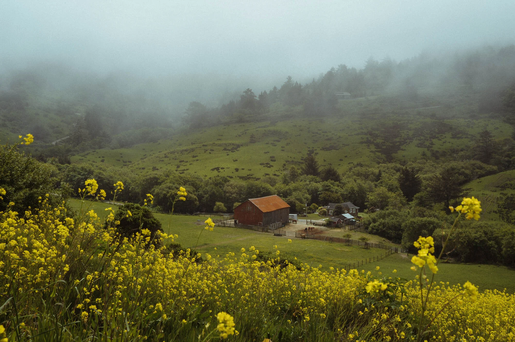 Nature-14.jpg