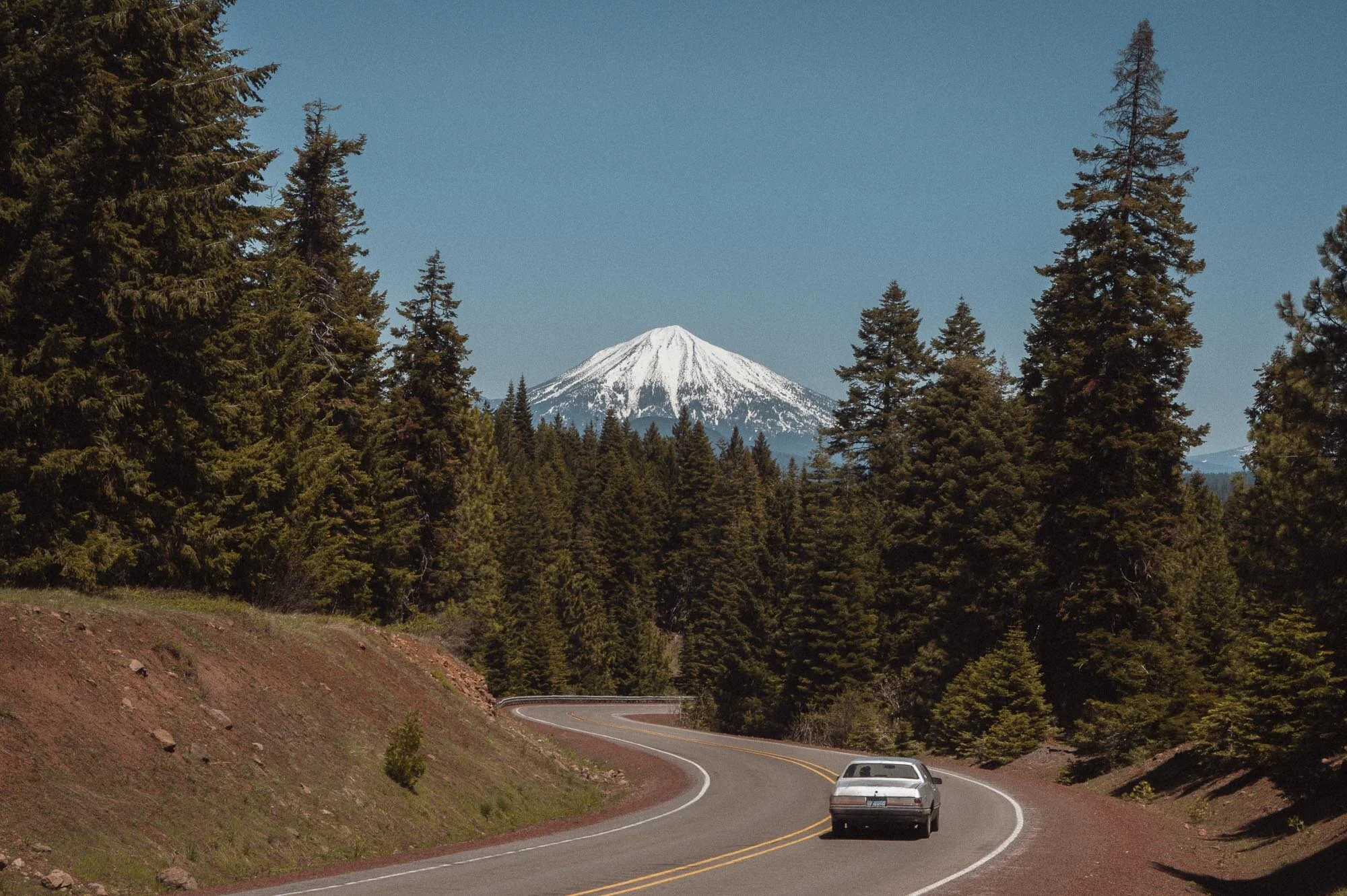 Nature-17.jpg