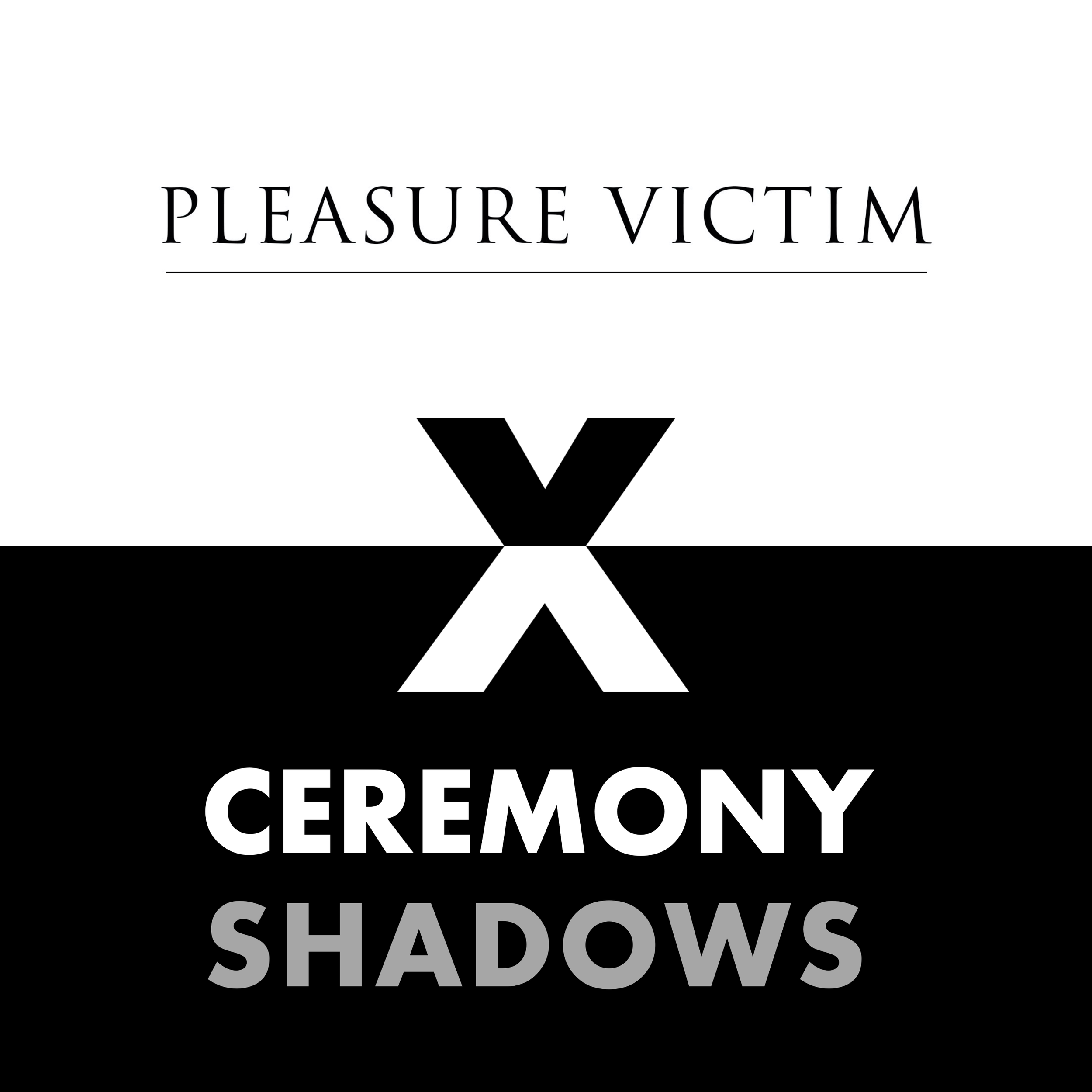 Remix of “Holy Violence” by Pleasure Victim