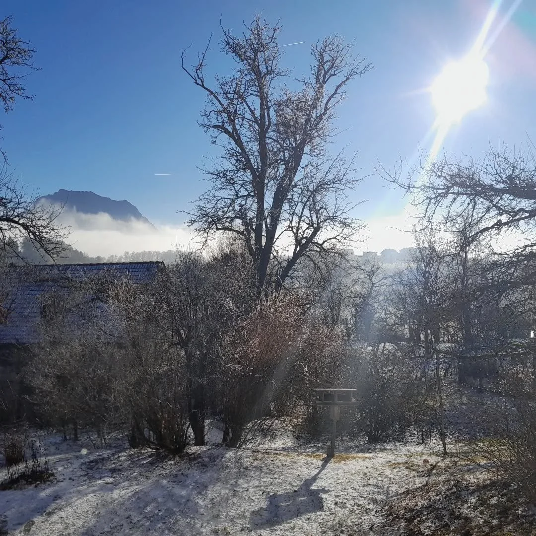 Solstice Poem

This is the solstice, the still point

of the sun, its cusp and midnight,

the year&rsquo;s threshold

and unlocking, where the past

lets go of and becomes the future;

the place of caught breath, the door

of a vanished house left aj