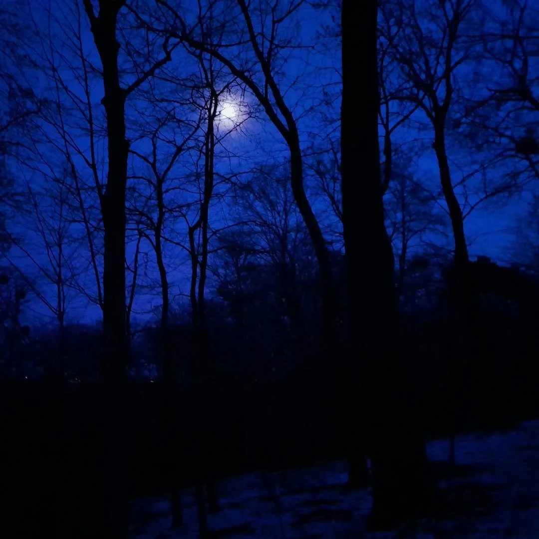 The moon shines bright
And the stars give a light
In a little while it will be day
The voice of love it calls upon us all
And bids us awake and pray

Rise, arise and wake thee rise
For life she is calling thee
For it might be the mothering of your sw