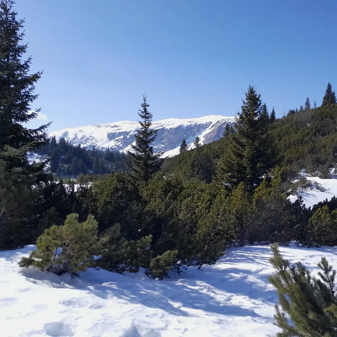 oh, the sheer bliss of being high on these snowcovered mountain queens, such balm for my soul each and every time...

how dearly I love these sacred ancient giantesses and the deep healing and big medicine that being held in their presence offers us 