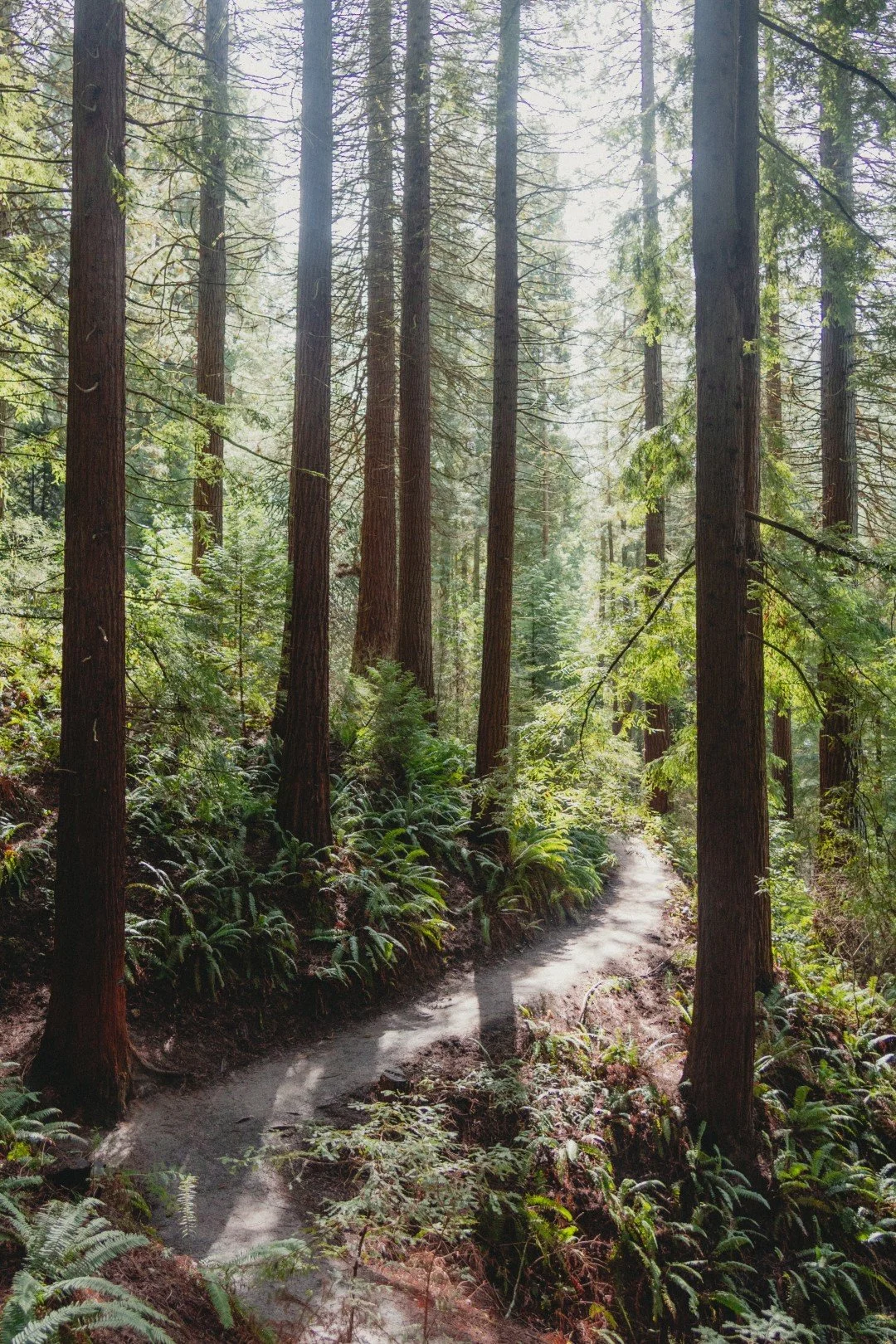 Oregon-6291 (Large).jpg