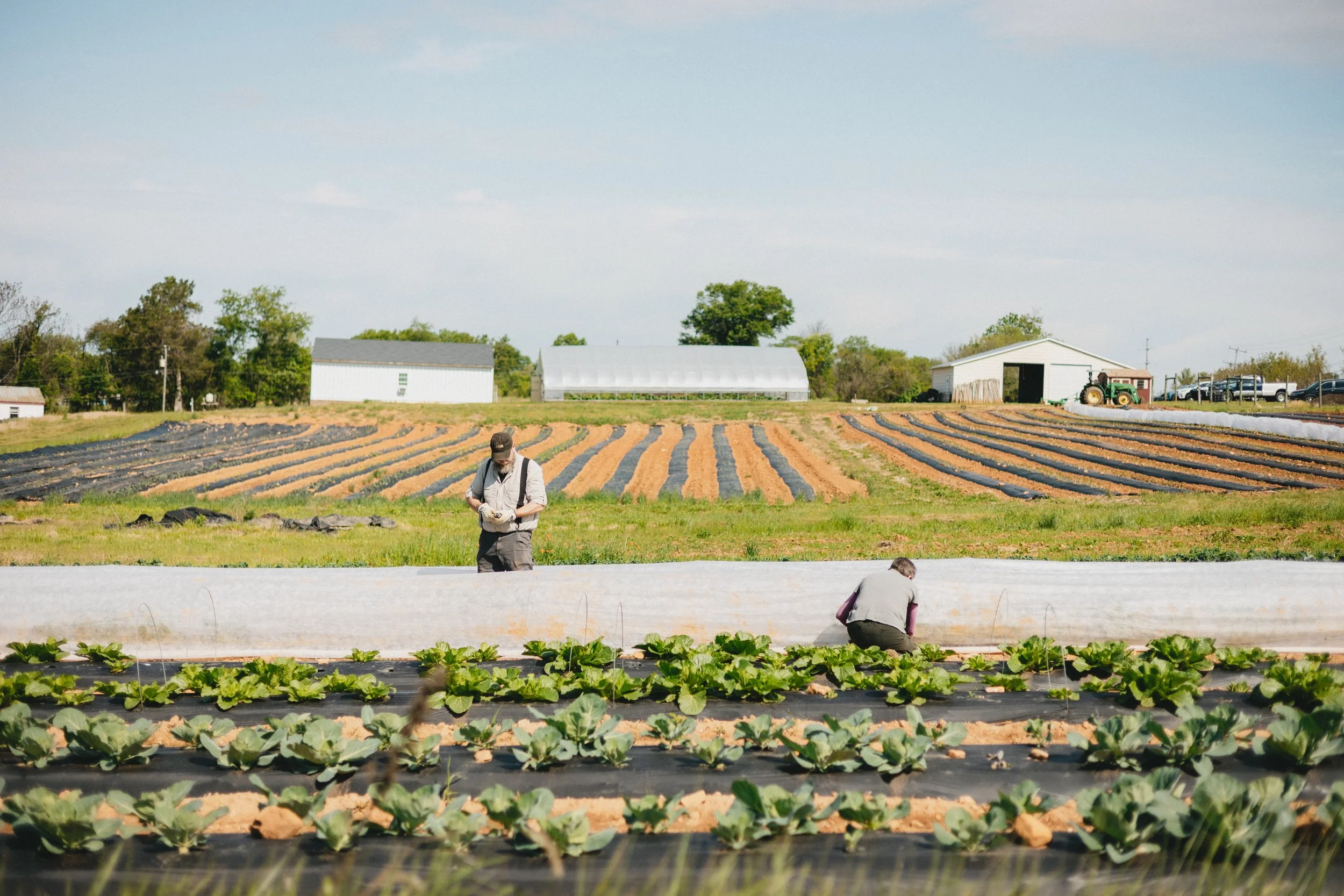0526-fauquieredfarm-3250.jpg