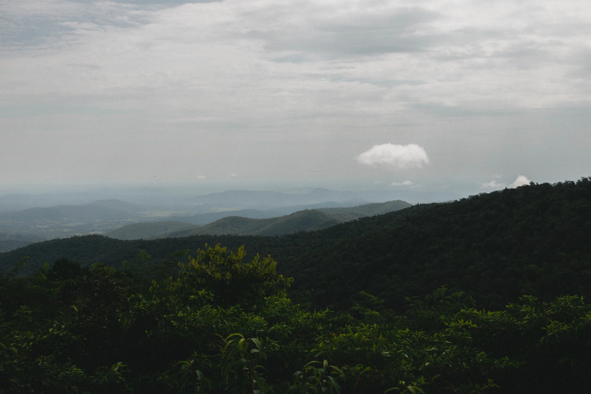 0825-Shenandoah-9234.jpg