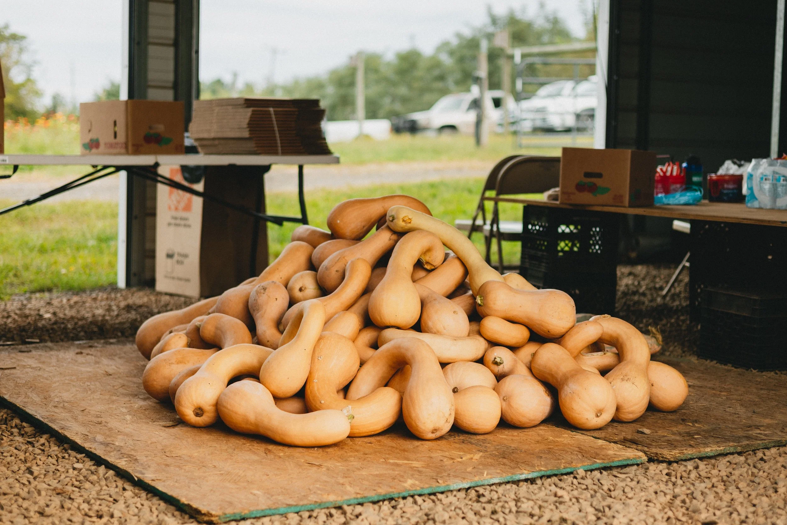 0926-fauquier-ed-farm-7790.jpg