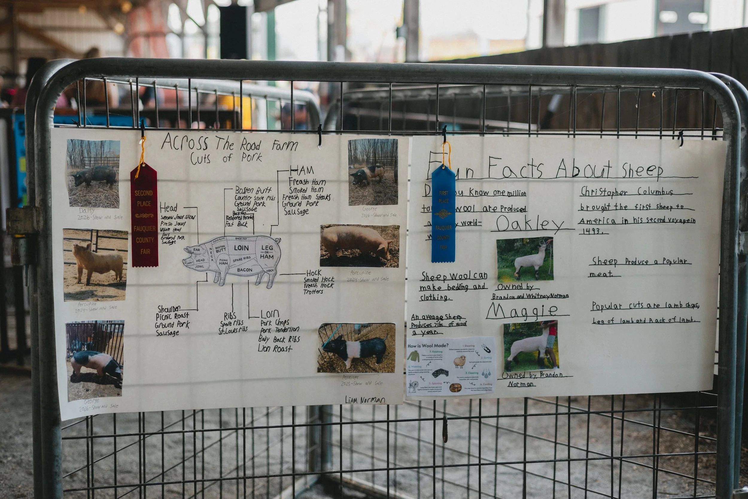 0726-rodeo-4951.jpg