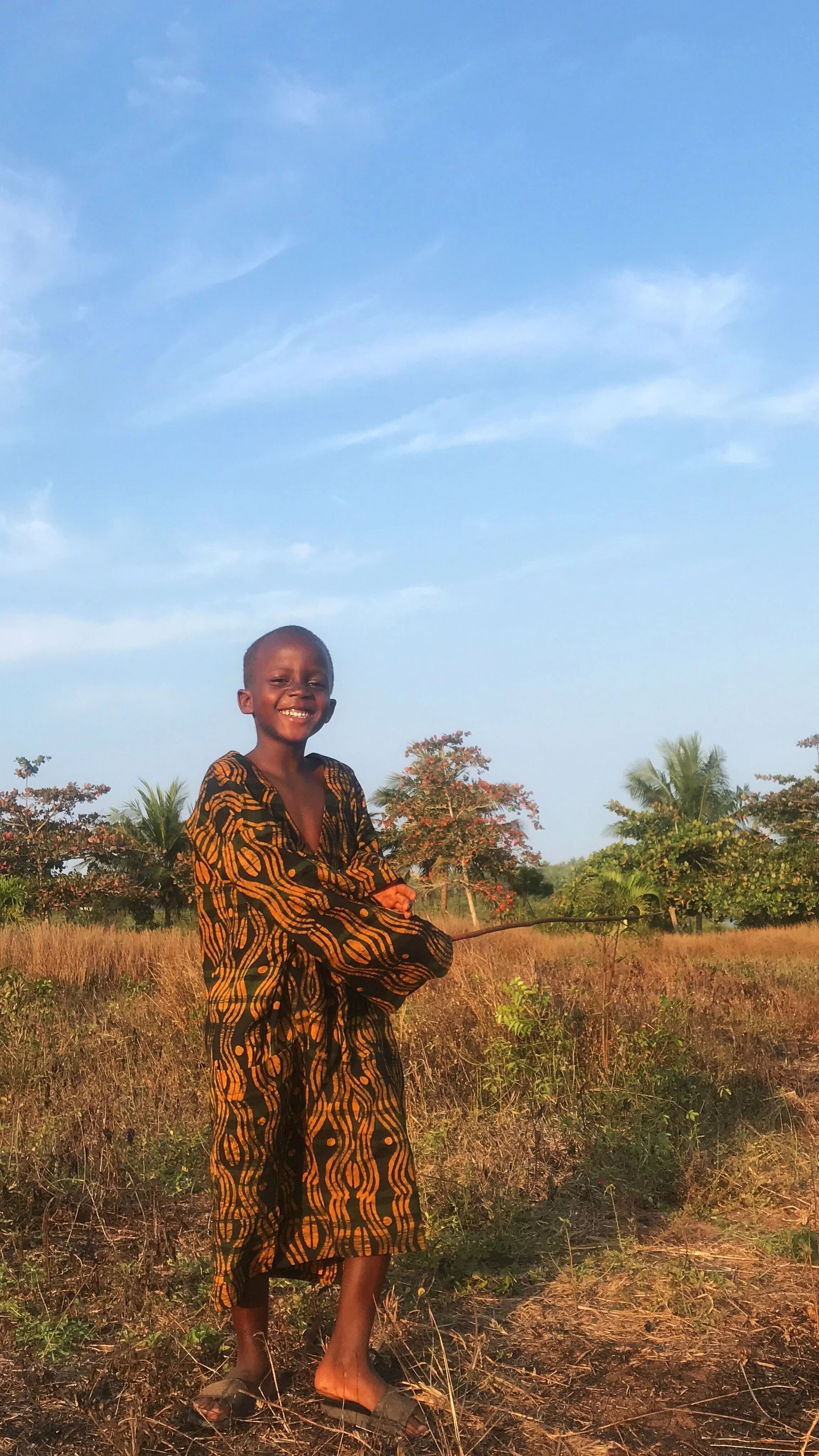 VISUALS AND VIBES                   @ SUNFLOWER