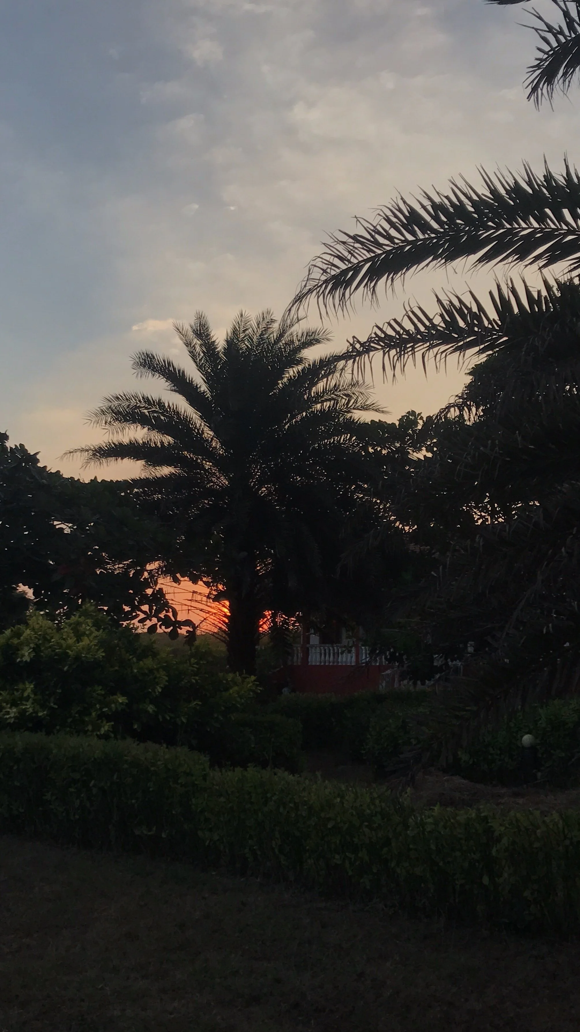 ROOM NO 6 SURROUNDED BY GARDEN. SUN SAYS GOOD NIGHT