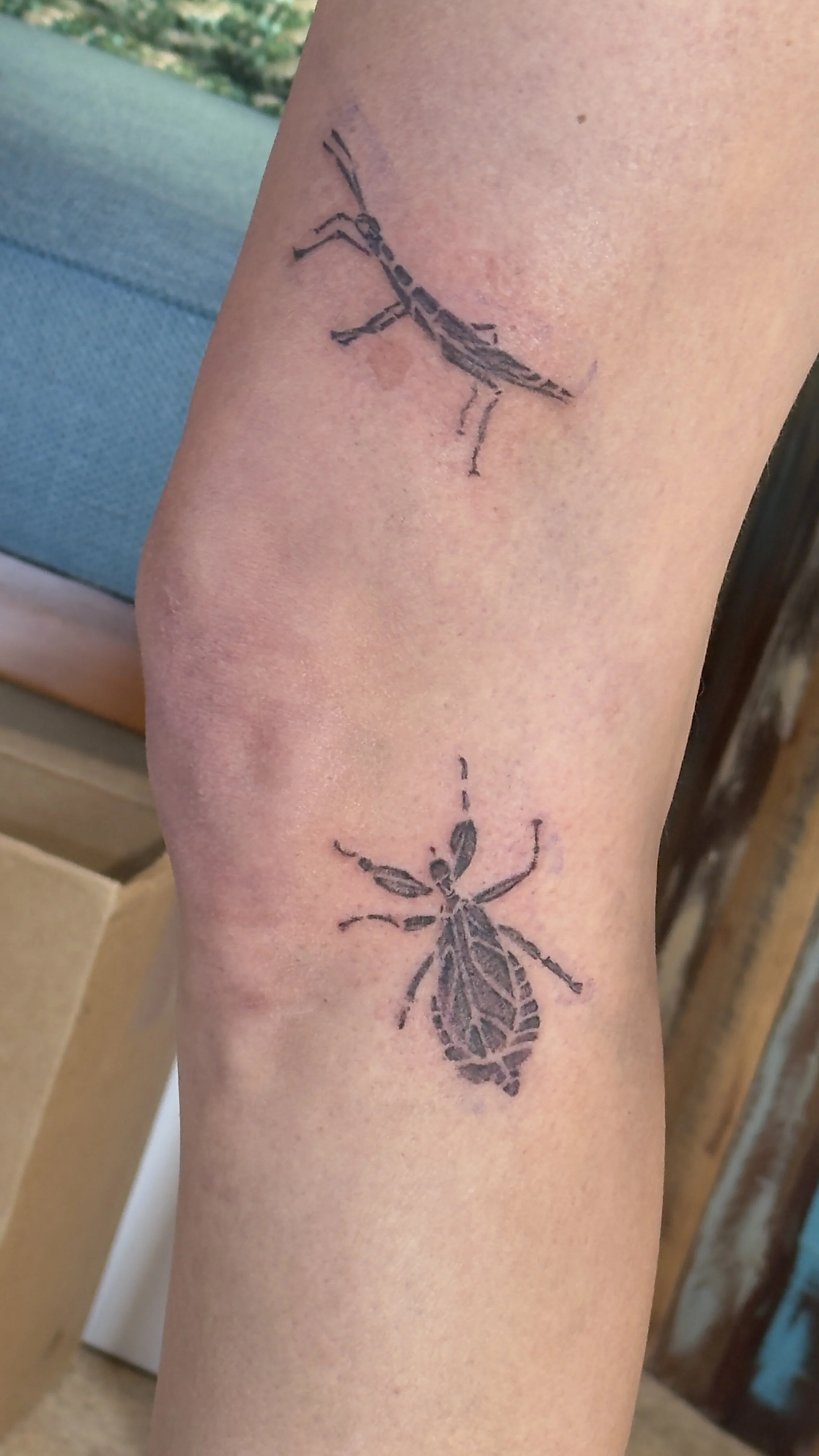 Insect tattoos on a leg
