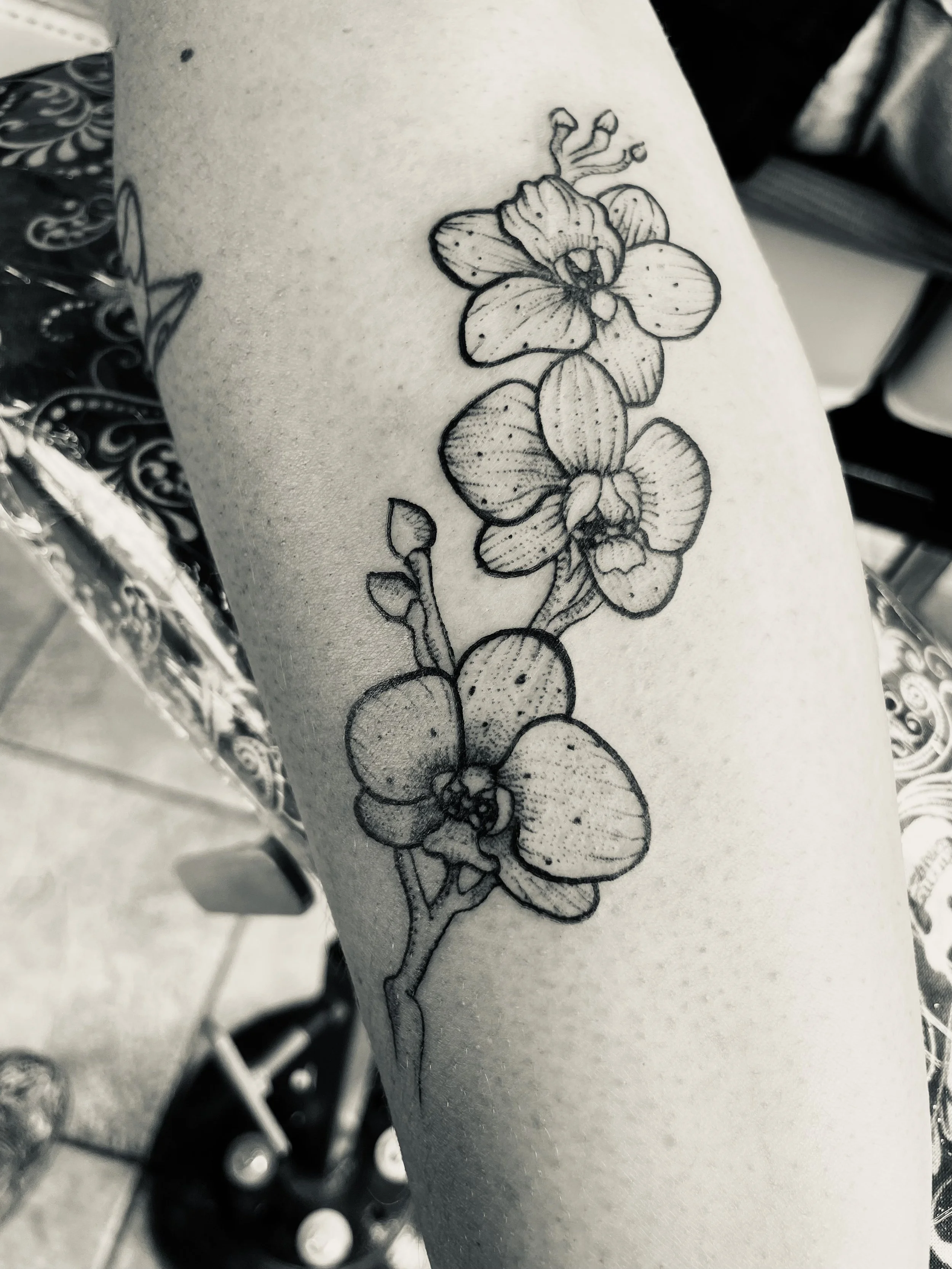 Black and white tattoo of an orchid flower on person's arm.