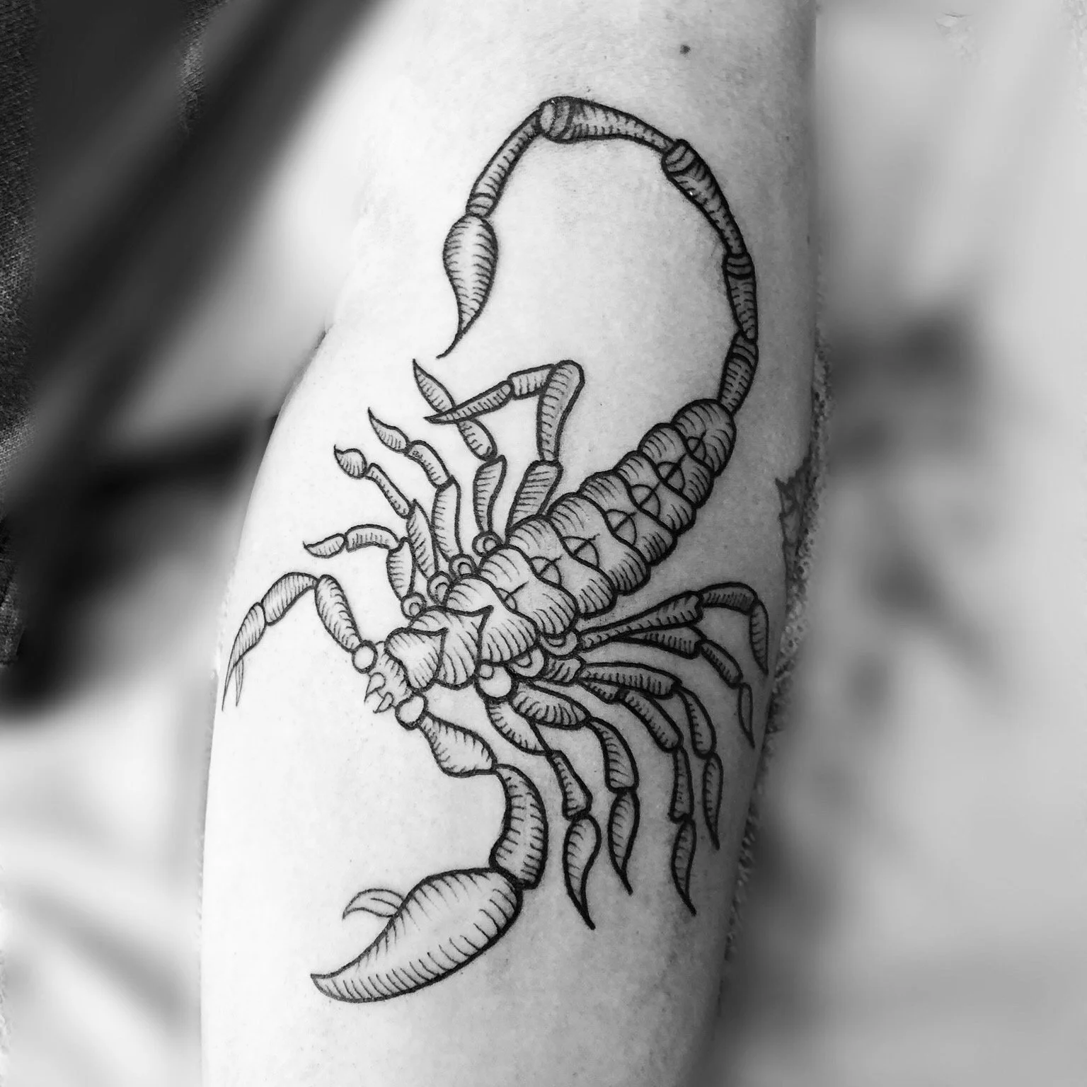 Black and white tattoo of a scorpion on skin.