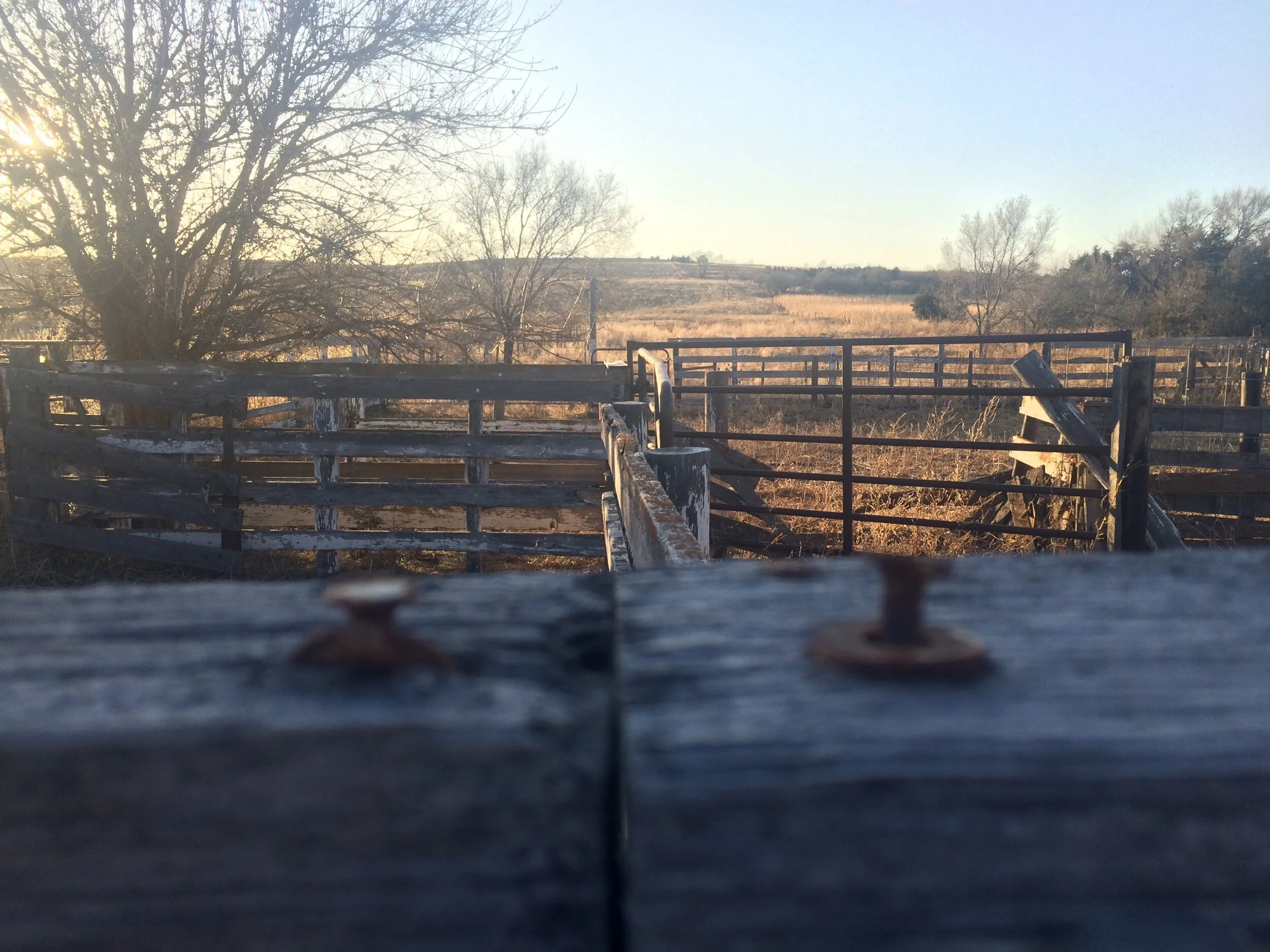 Welcome, Oh Weary Traveler