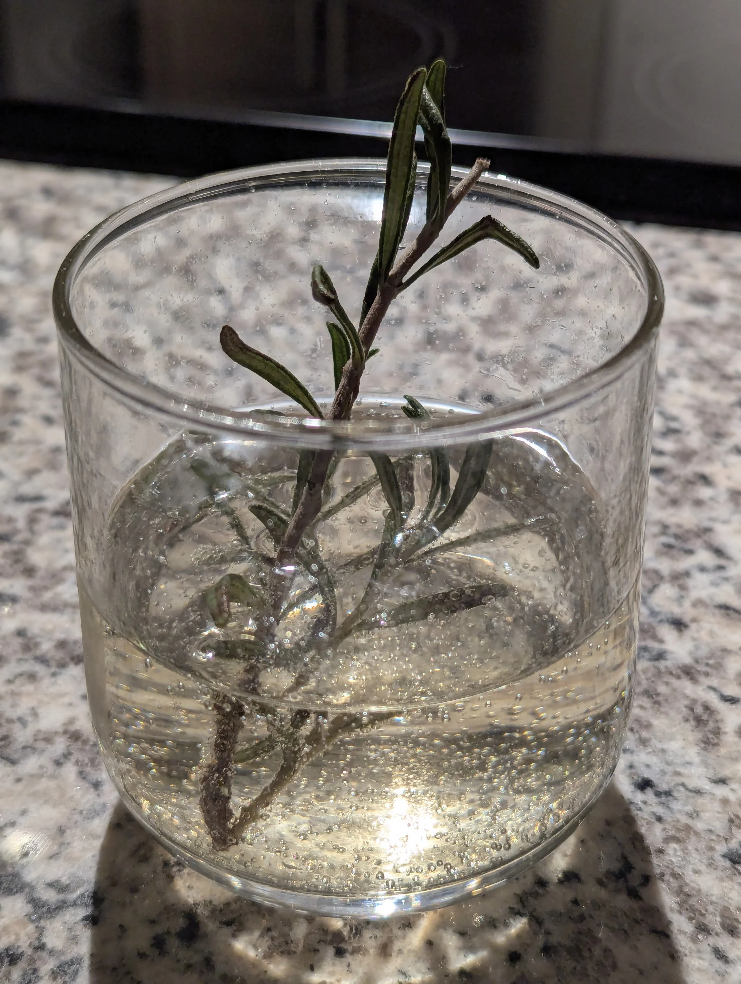 Merry Christmas and Happy New Year!