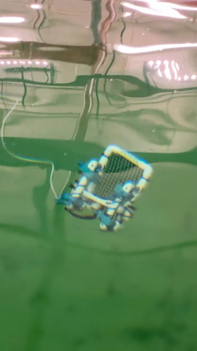 OceanTech Club
