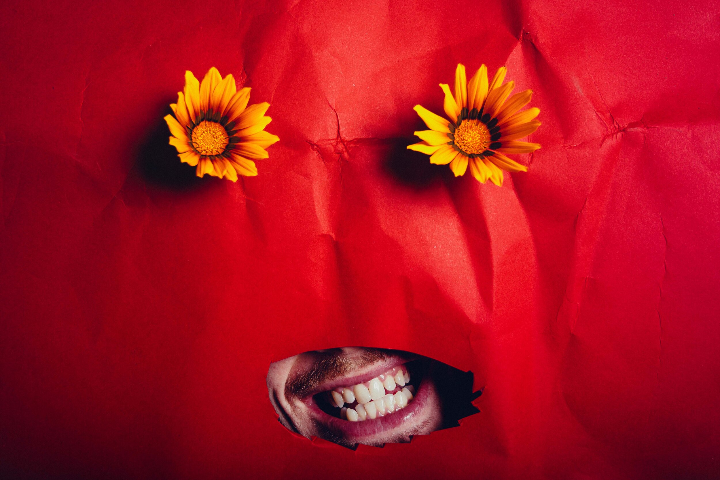 Thomas Calder - Creative - Concrete_Teeth.jpg