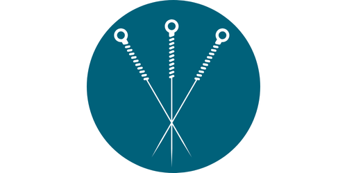 Musculoskeletal acupuncture