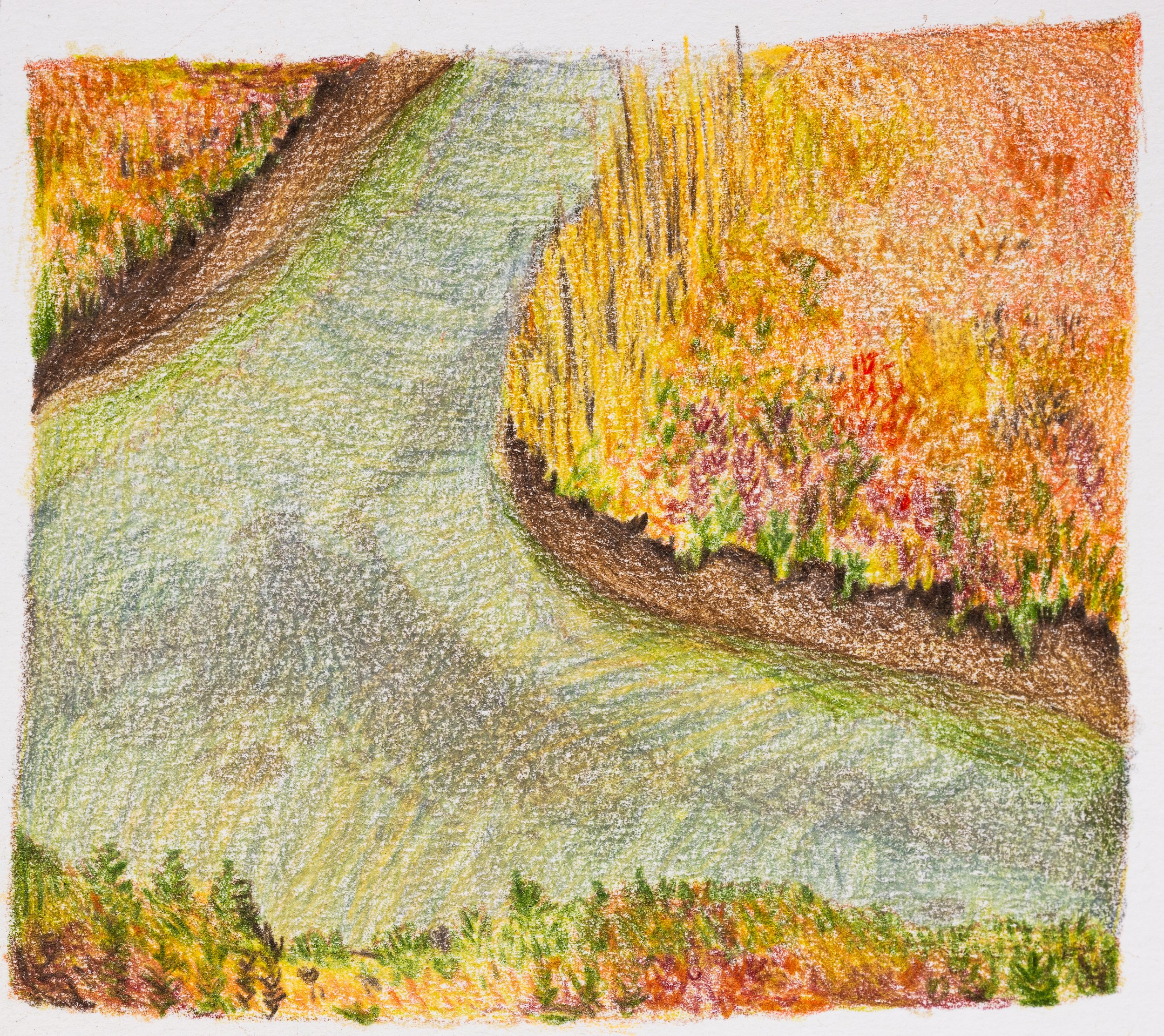 Sienna-6 Resized.jpg