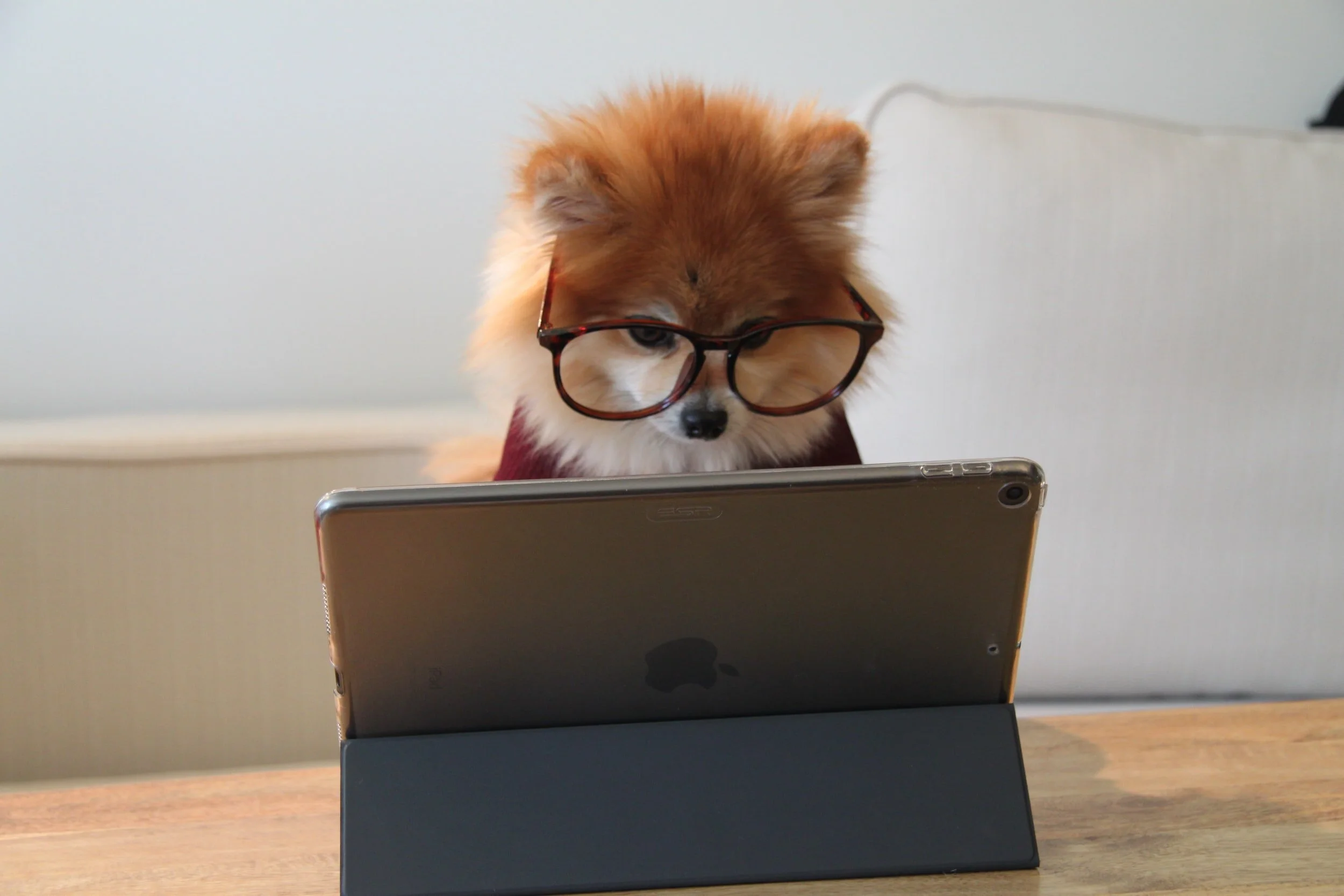 What Are the Benefits of Teletherapy?