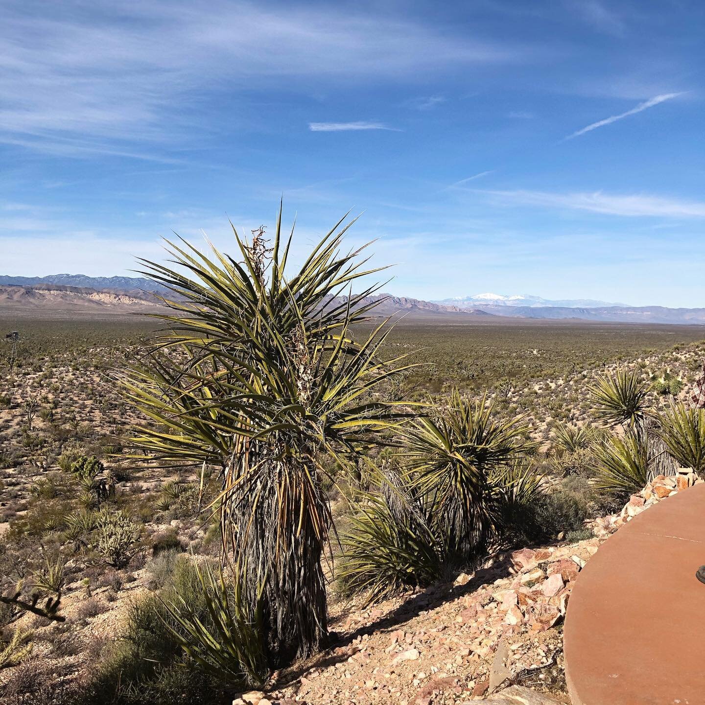 Thank you Mystery Ranch &amp; @unitedcatalysts for hosting our Goldwell Team to your beautiful desert! Can&rsquo;t wait to see your upcoming projects💕