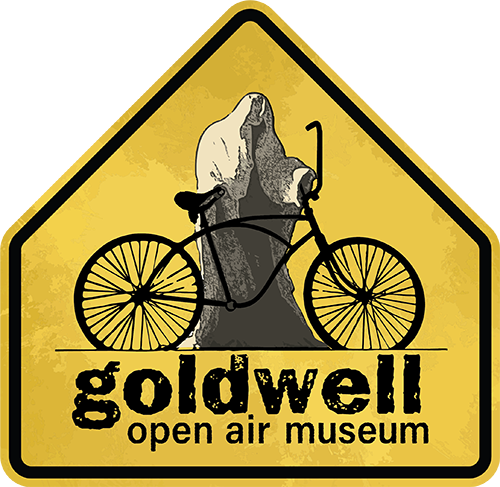 Goldwell 