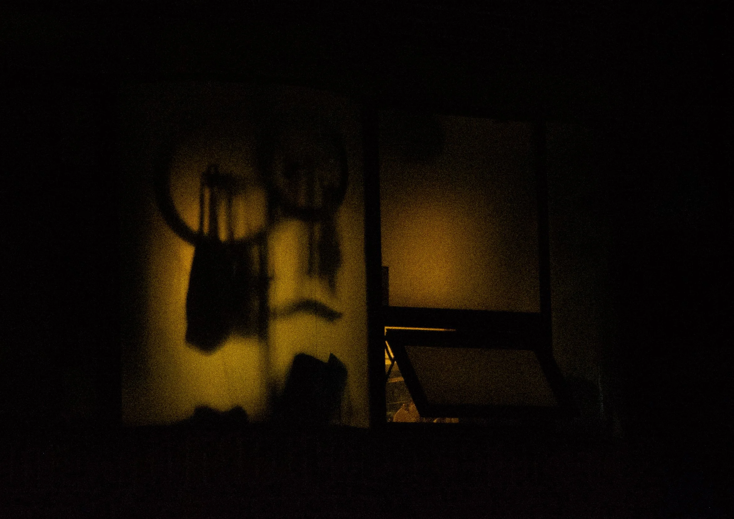 DSC_6380.jpg