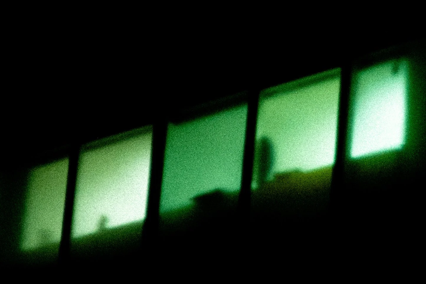 DSC_7160.jpg