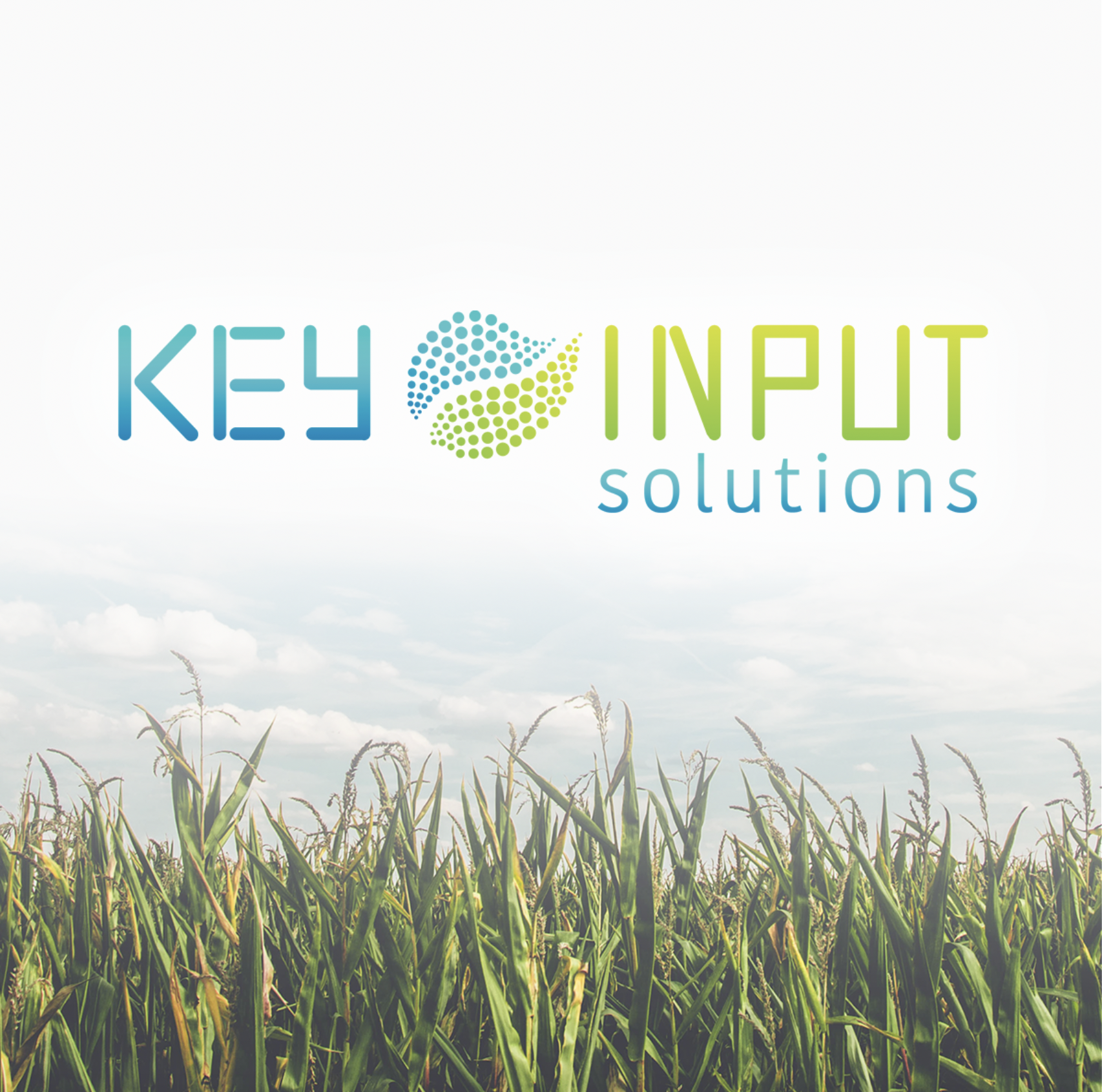 Company logo for Key Input Solutions over a background of a green field of crops and a blue sky with clouds.