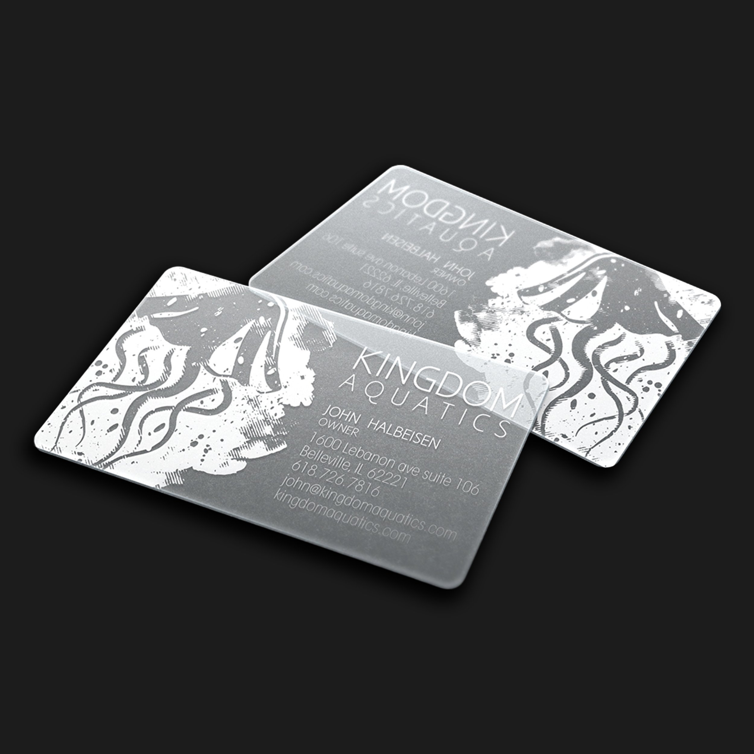 Business cards for Kingdom Aquatics featuring a lion's head illustration and contact information.
