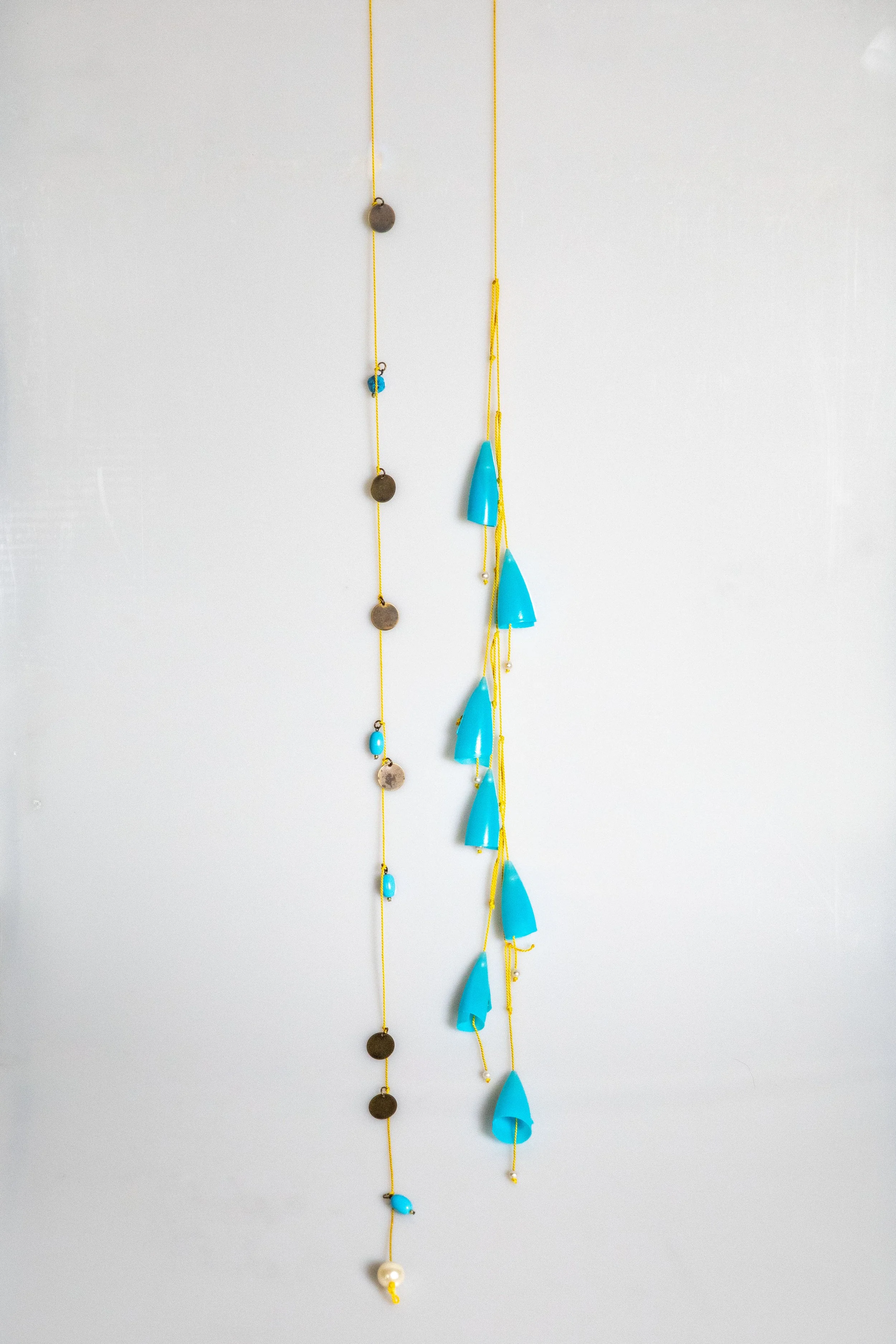 Blue Goose Barnacles 02.jpg