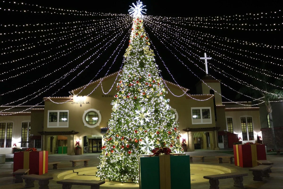 Abundant Tree-Canopy.jpg