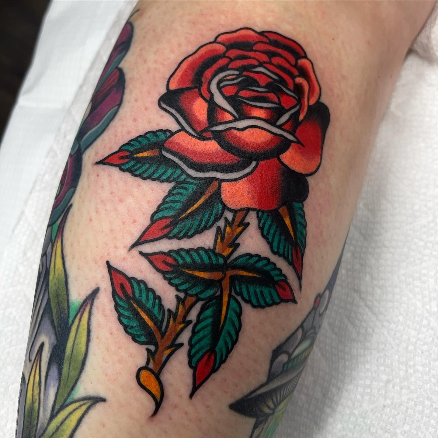 Rose. HOLD FAST. #bsetzlertattoo #holdfastct #tattoo #tattoos #cttattooartist #cttattooer #cttattoos #cttattooshop #art #drawing #ink #inked #traditional #tradworkers #traditionaltattoo #bold #boldtattoos #color #modern #classic @lineageneedles @thes