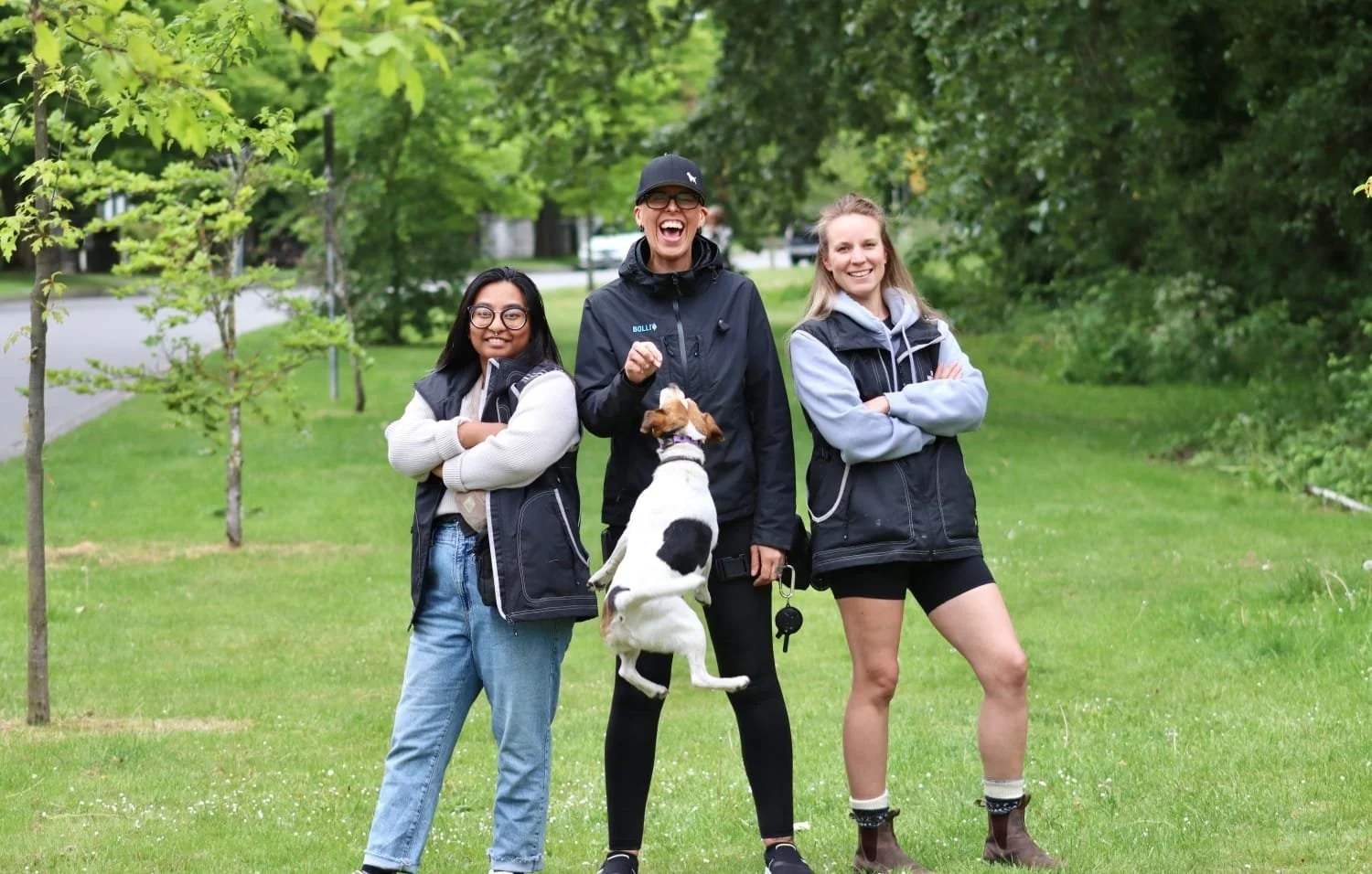 Contact 1 — The Pack Dog Training