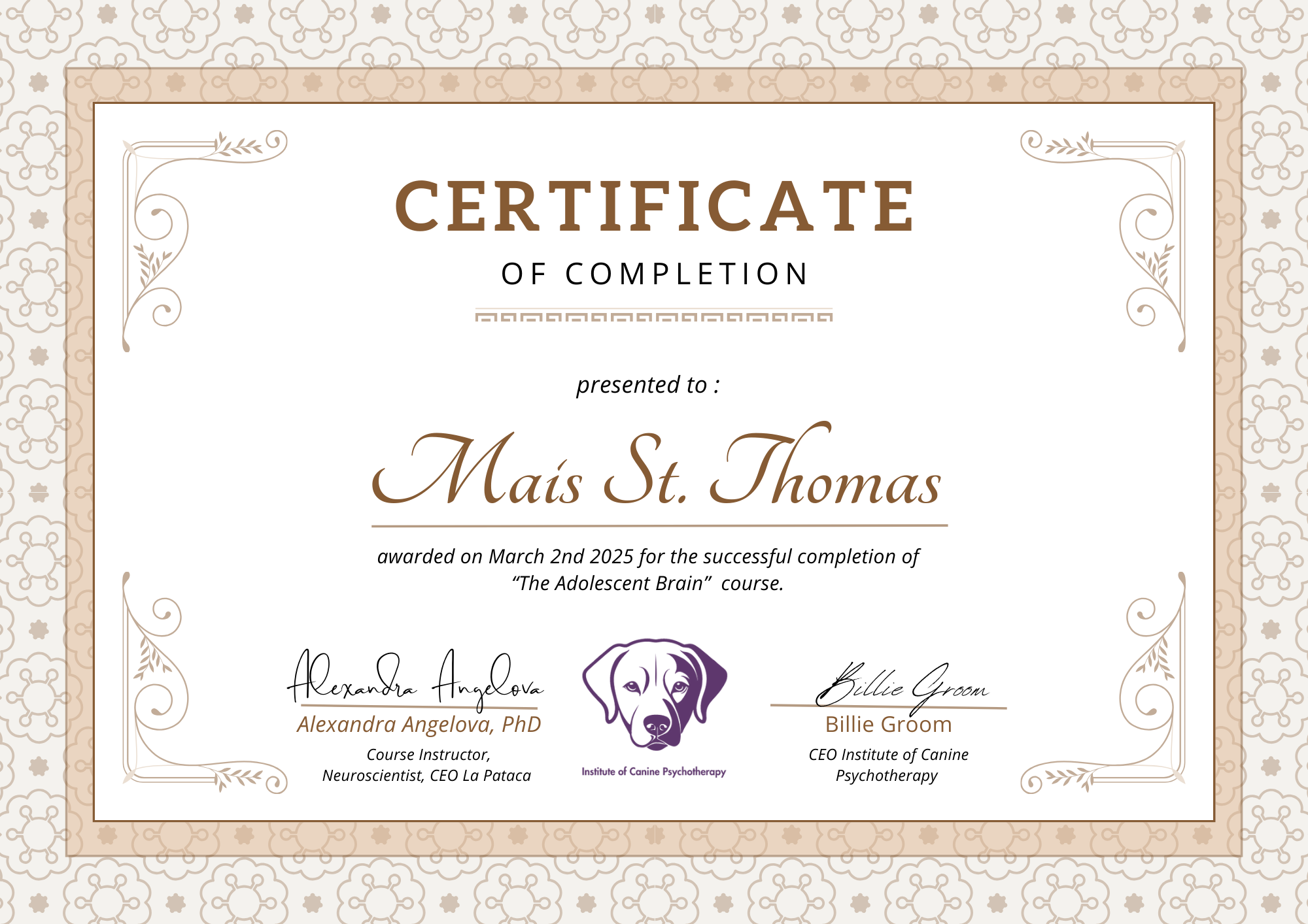 Mais St Thomas Certificate of Completion.png
