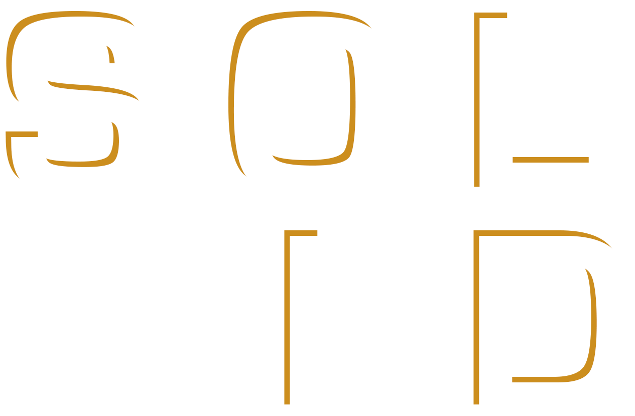 SOLID copy.png