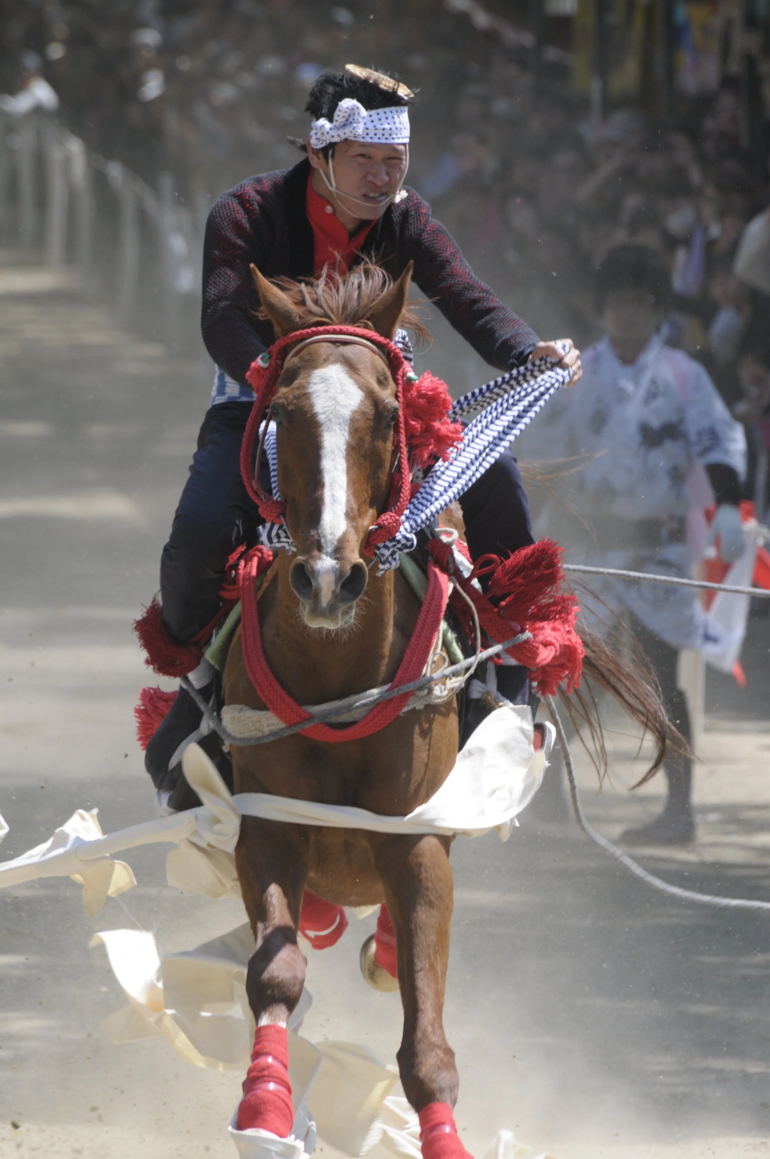 A Festival of Horses and Warrior Spirit - Fujinomori Shrine's Annual Fjinomori Festival