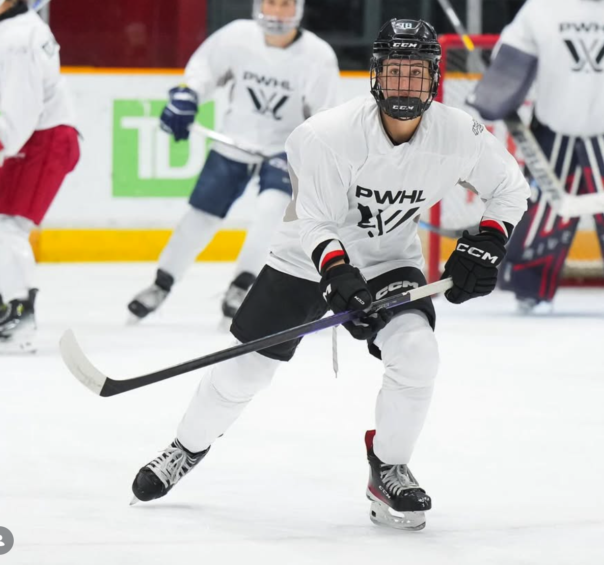 Screen Shot 2026-03-16 at 1.45.16 AM.png