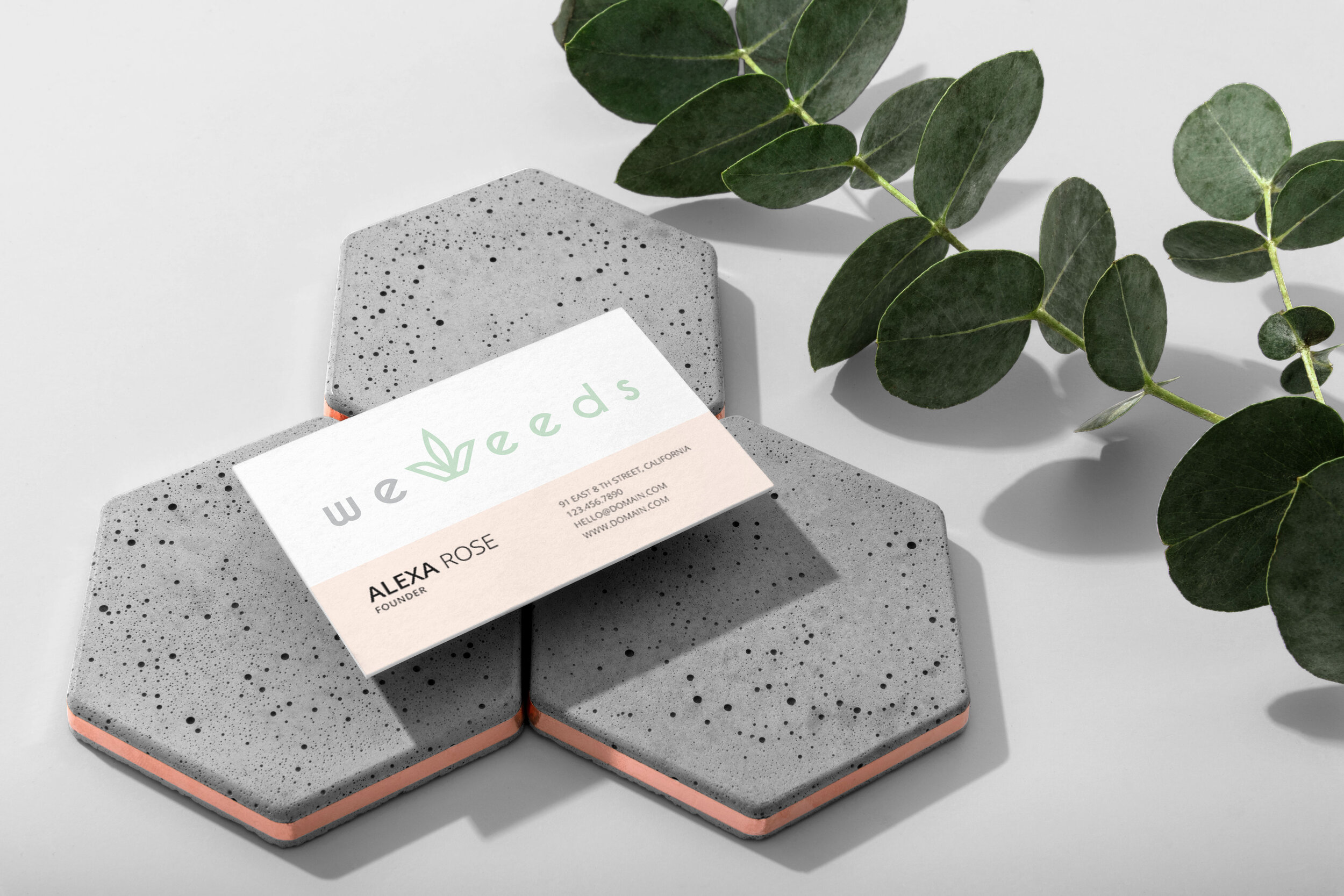 11-hexamed-branding-mockup.jpg