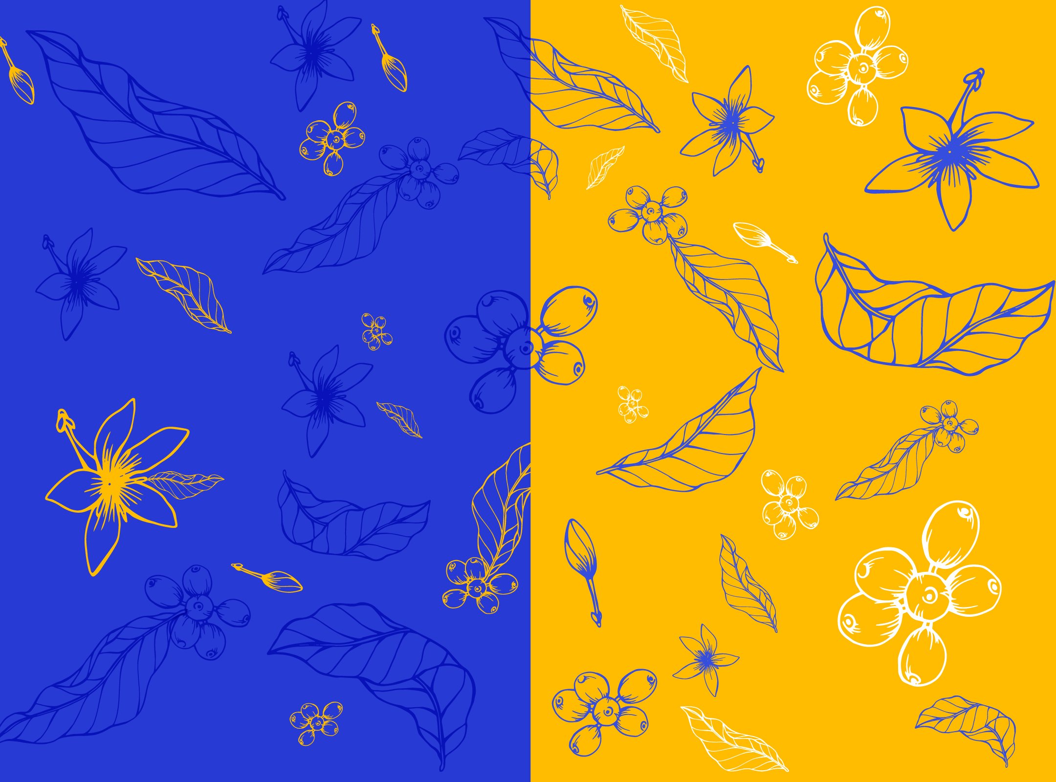 pattern.jpg