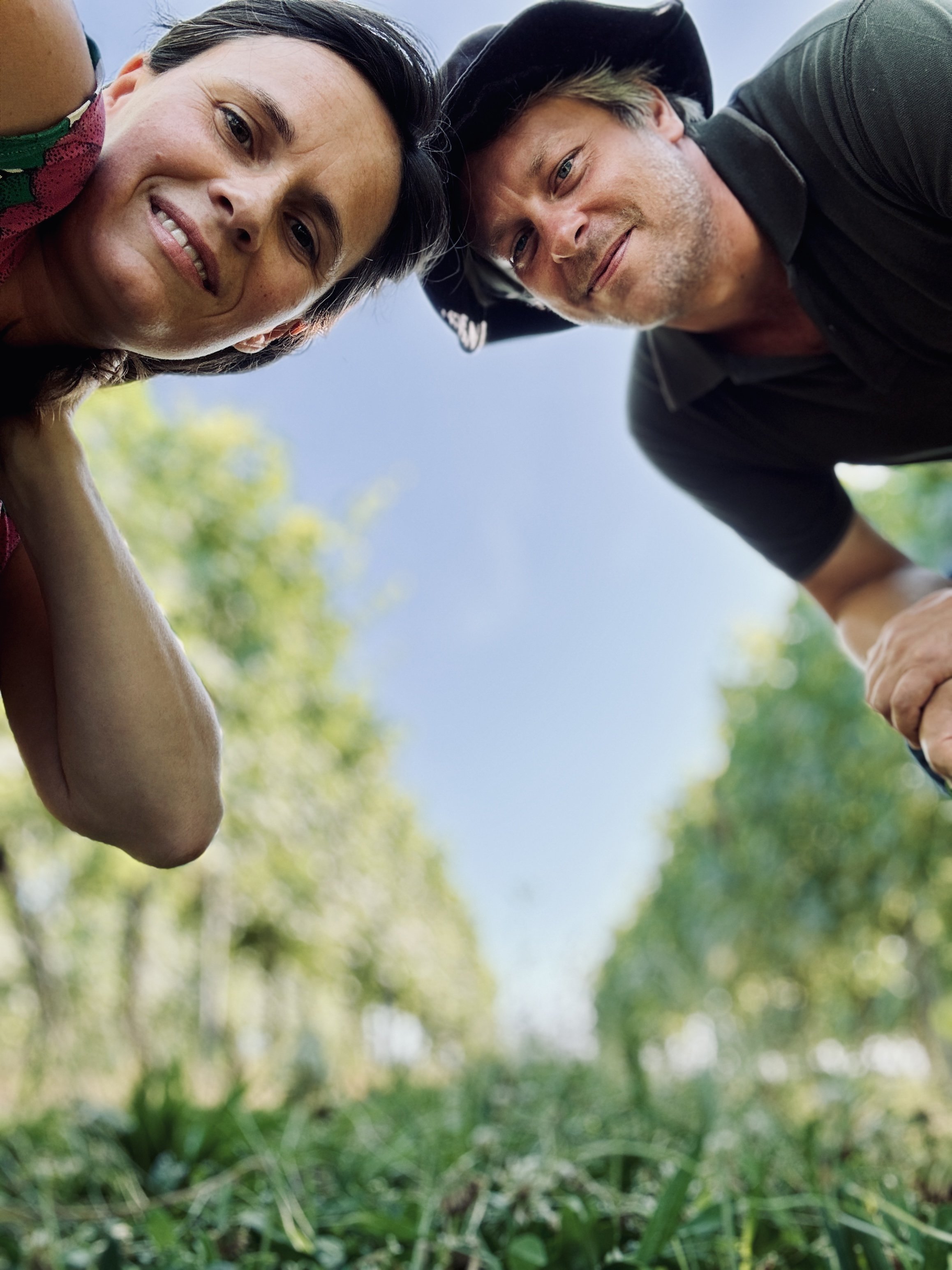 us in the vineyard