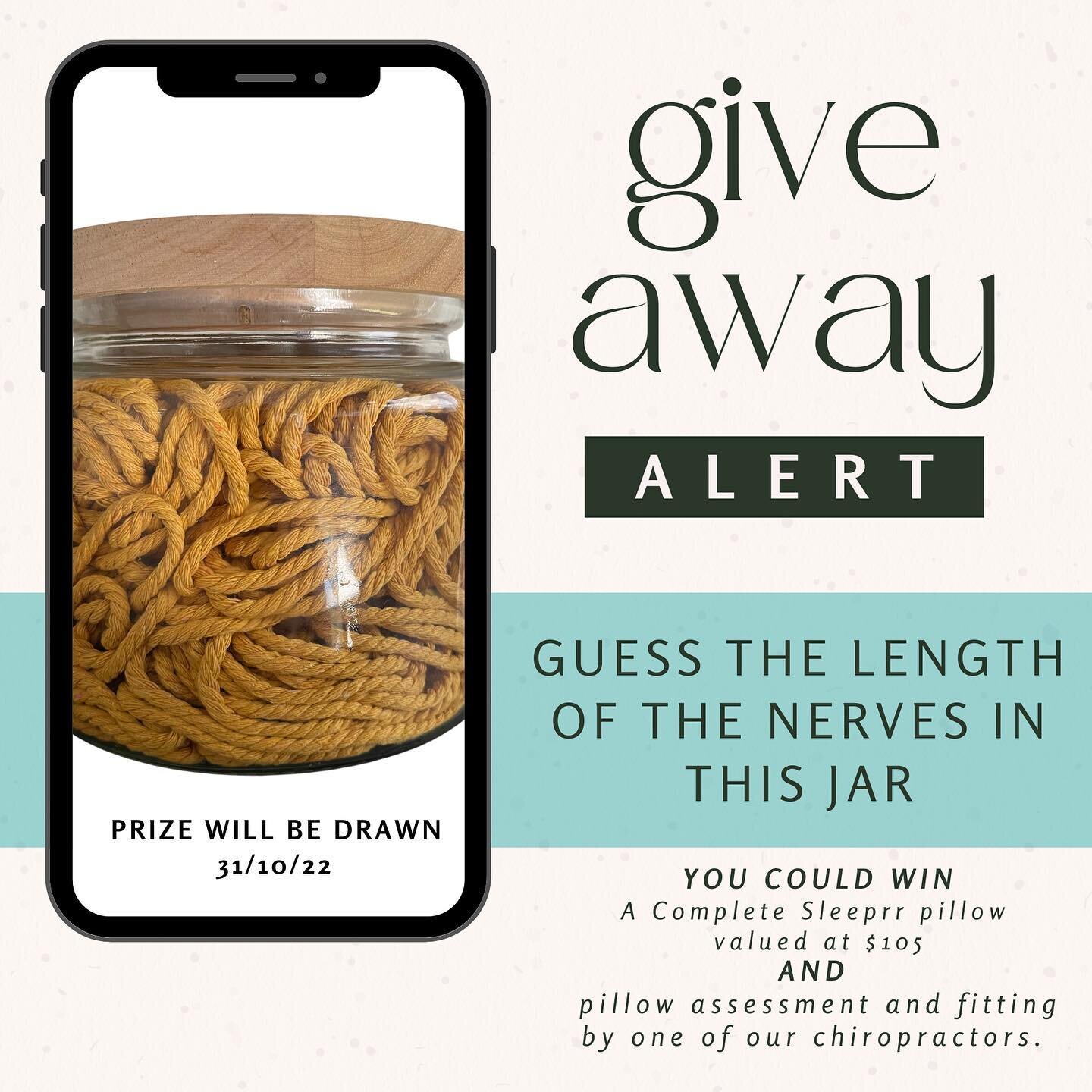 LOVE ME A LITTLE GUESS THE LENGTH COMPETITION!! 
It’s white line fever over here with such high stakes!ππ½‍βοΈ
WIN a complete sleeprrr pillow and have it fitted by one of our chiro’s. Hello good night sleep π π΄ π€ 
Pop your guess