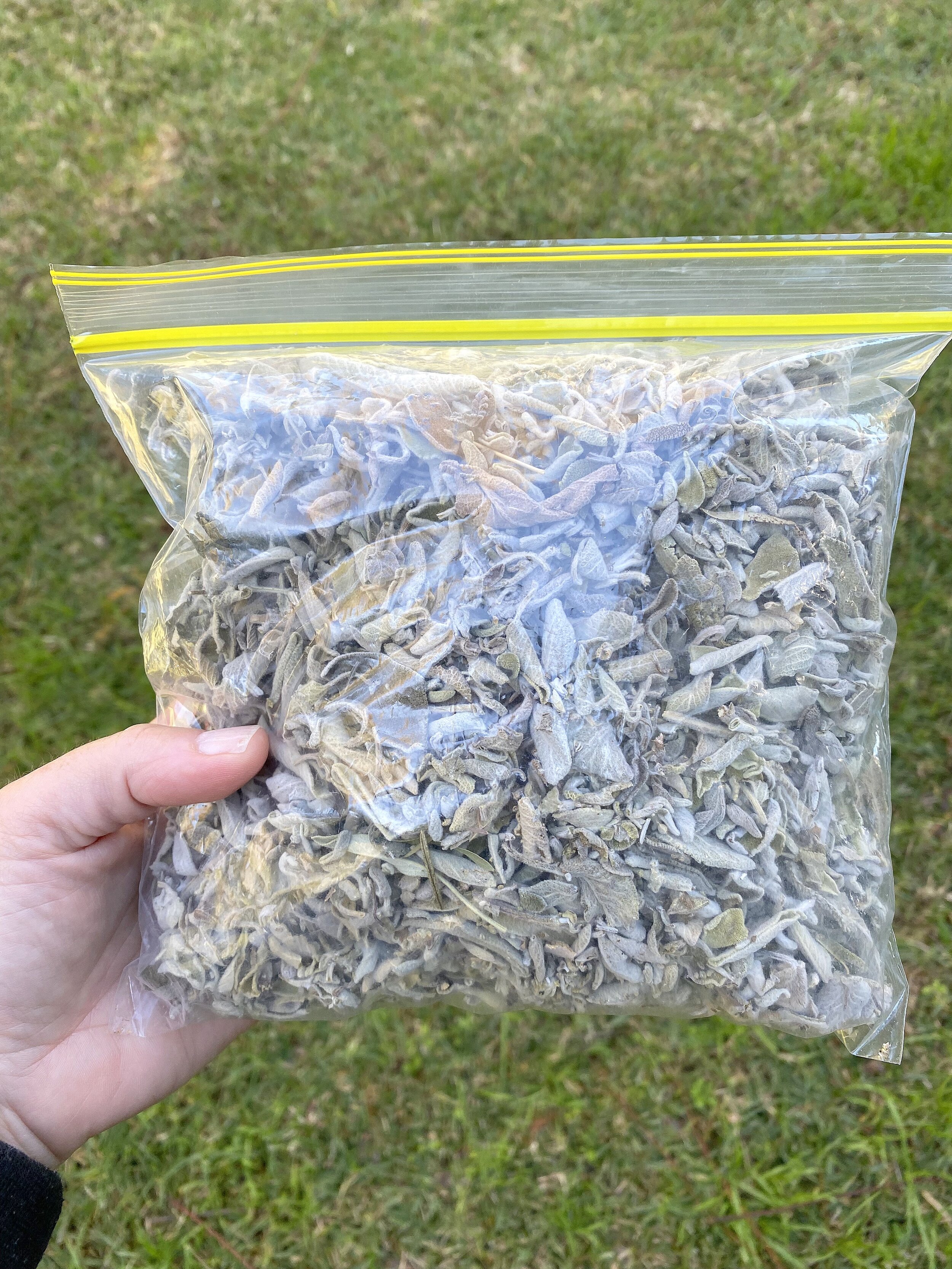 2021 Loose sage 150gram.jpg