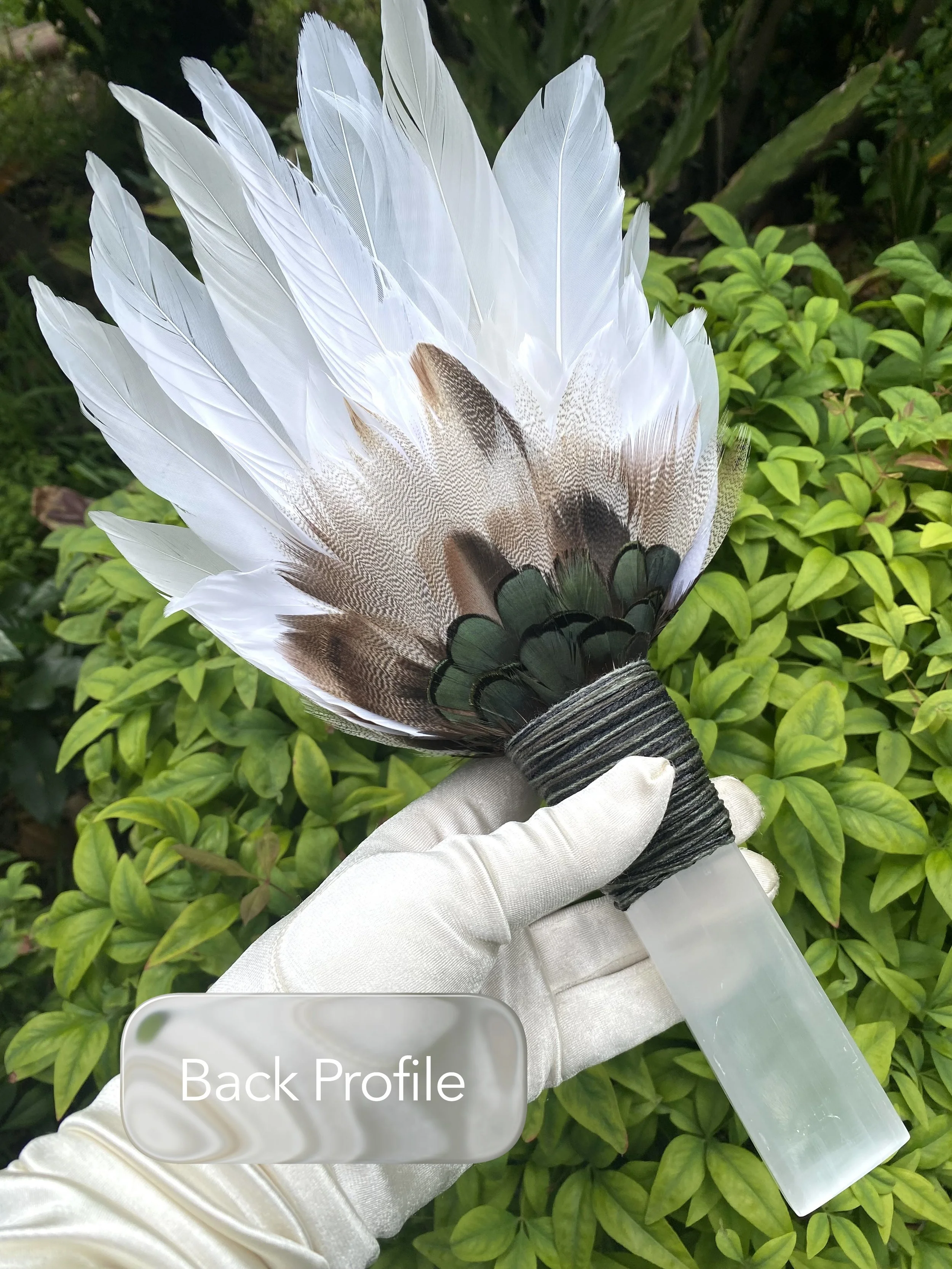 Piccola 006B - 10.JPG