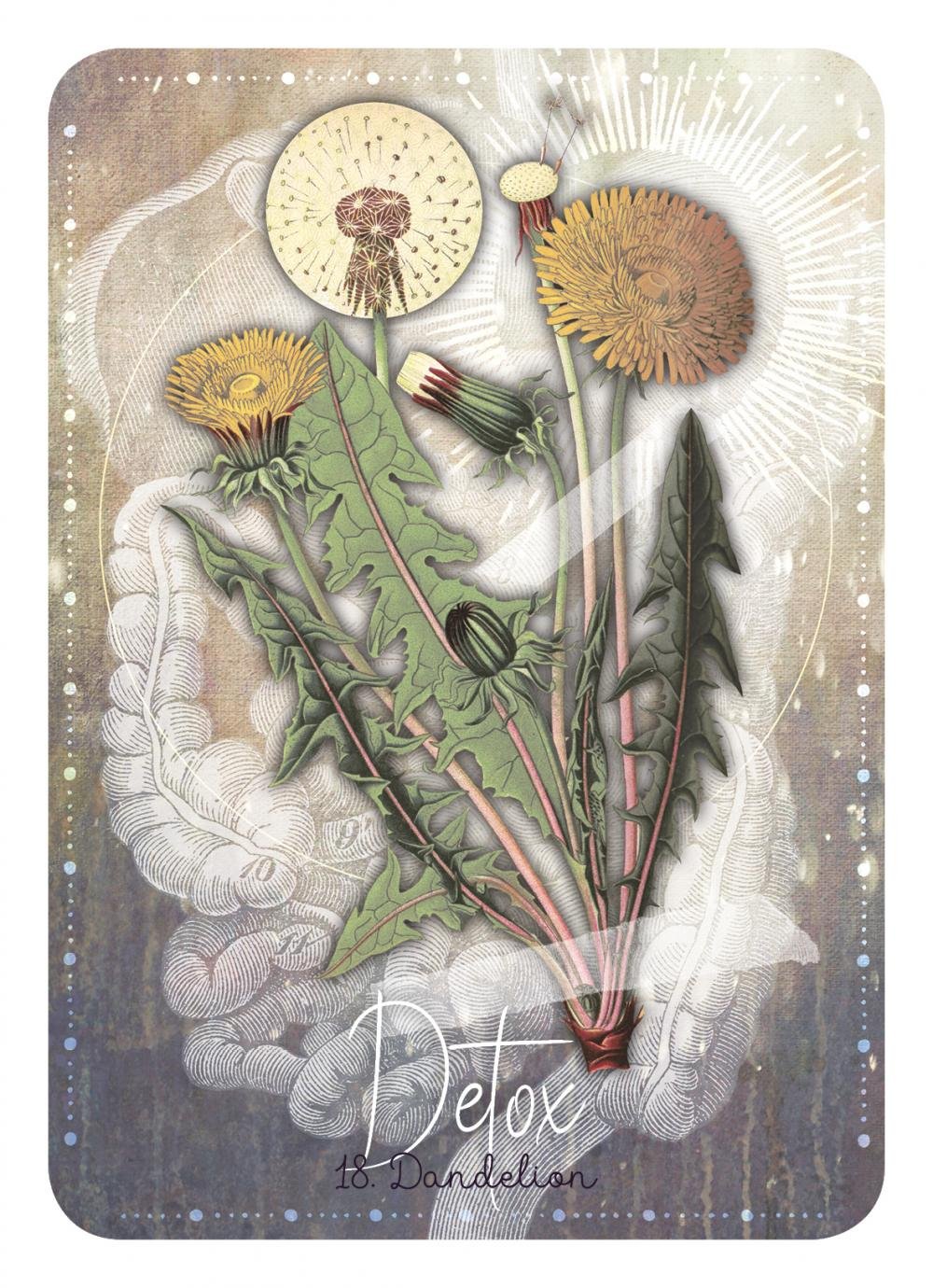 Magickal Herb Oracle - 5.jpg