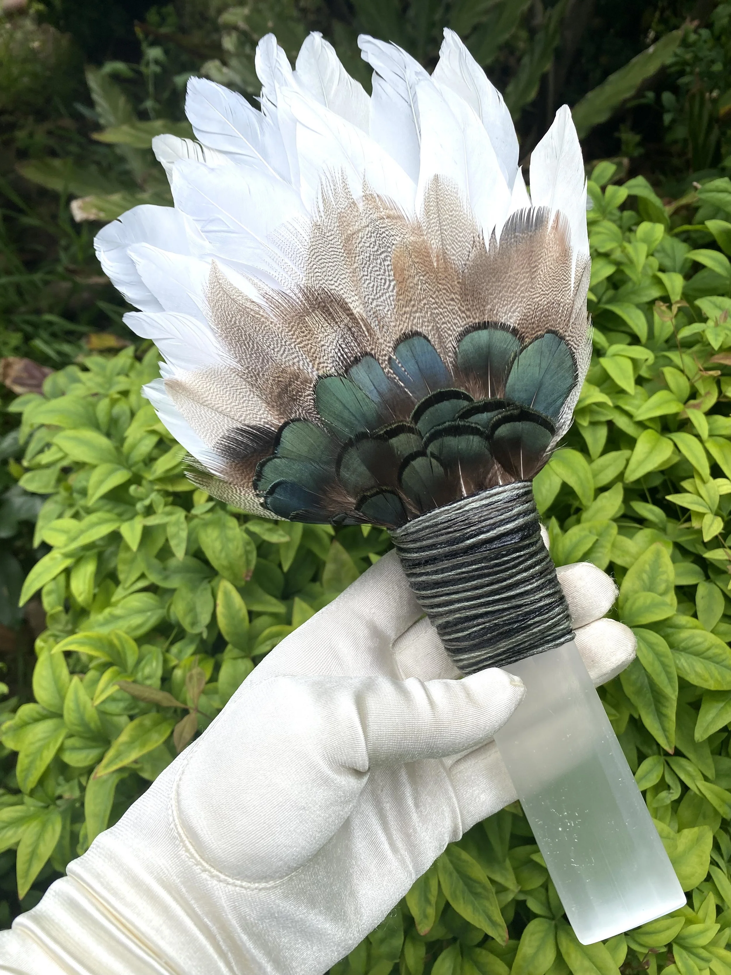 Piccola 006B - 7.jpeg