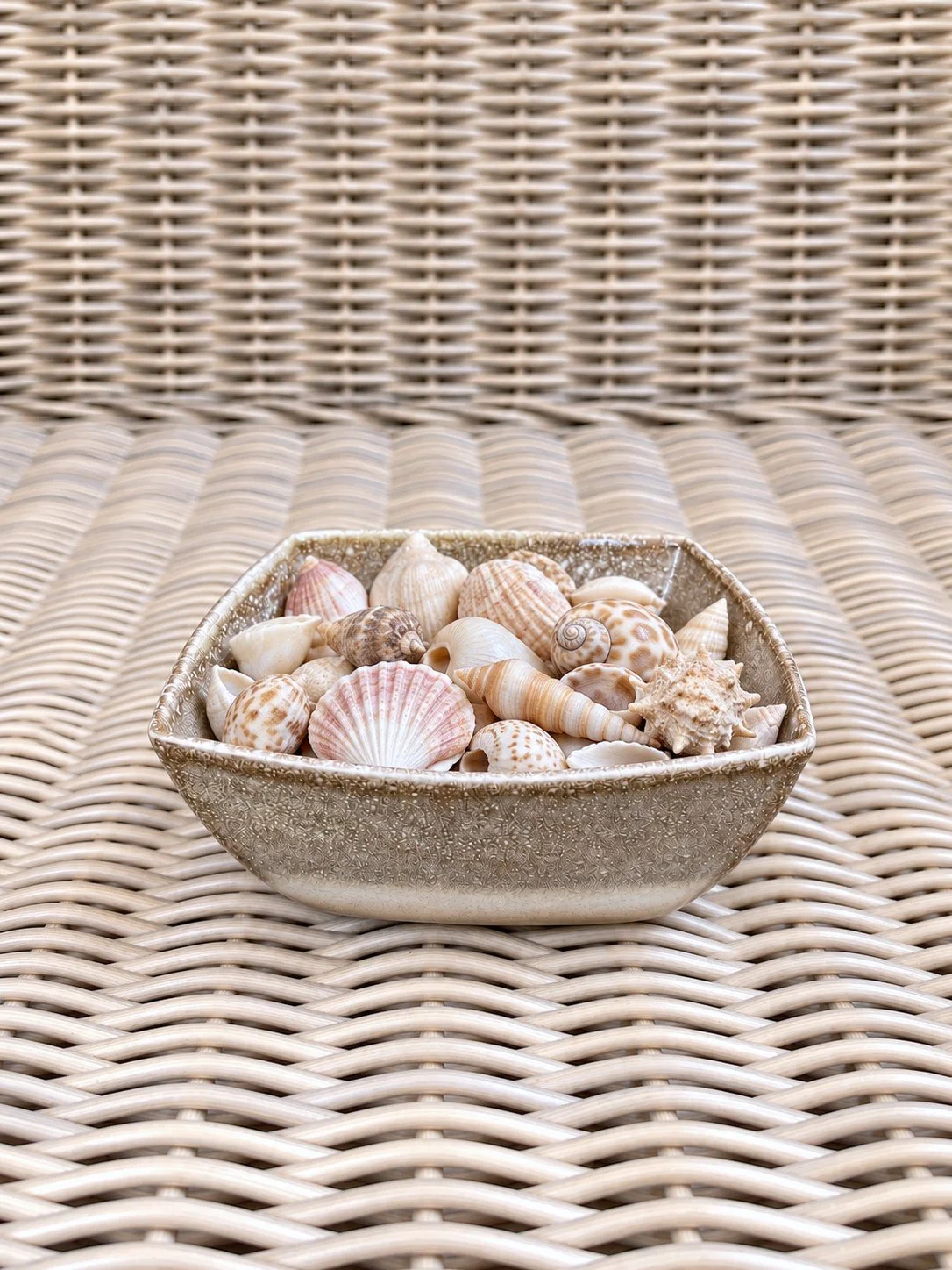 2026 Speckled Ceramic Bowl - 13.jpg