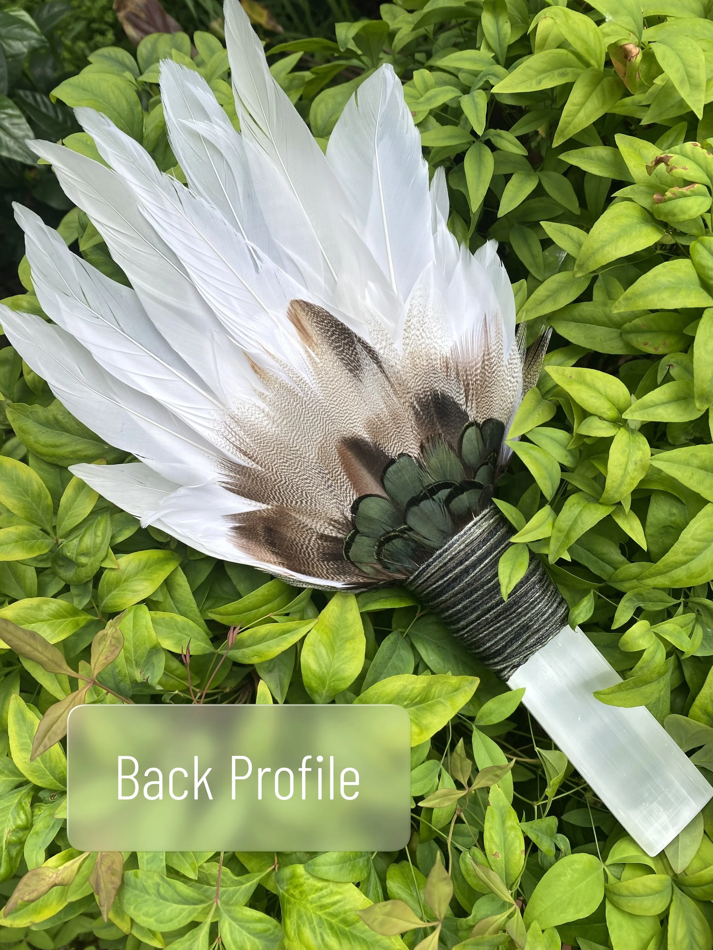 Piccola 006B - 8.JPG